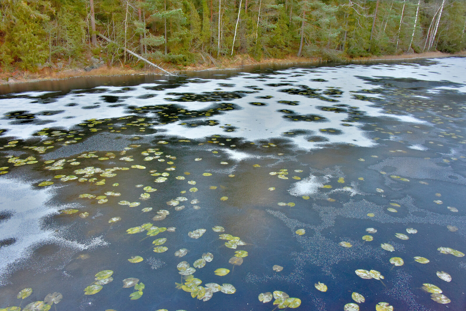 Valokuvaaja: Reijo Juurinen
