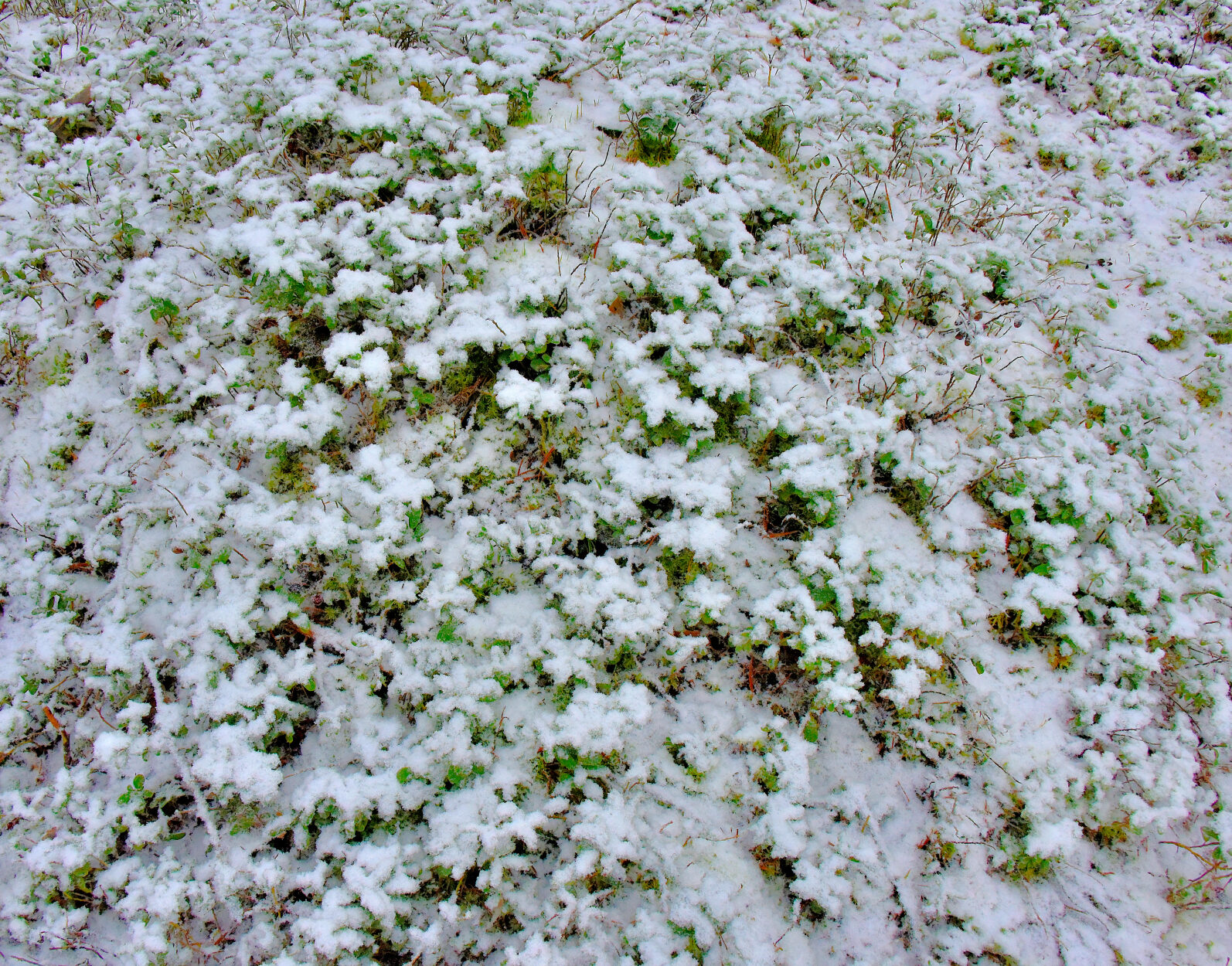 Valokuvaaja: Reijo Juurinen