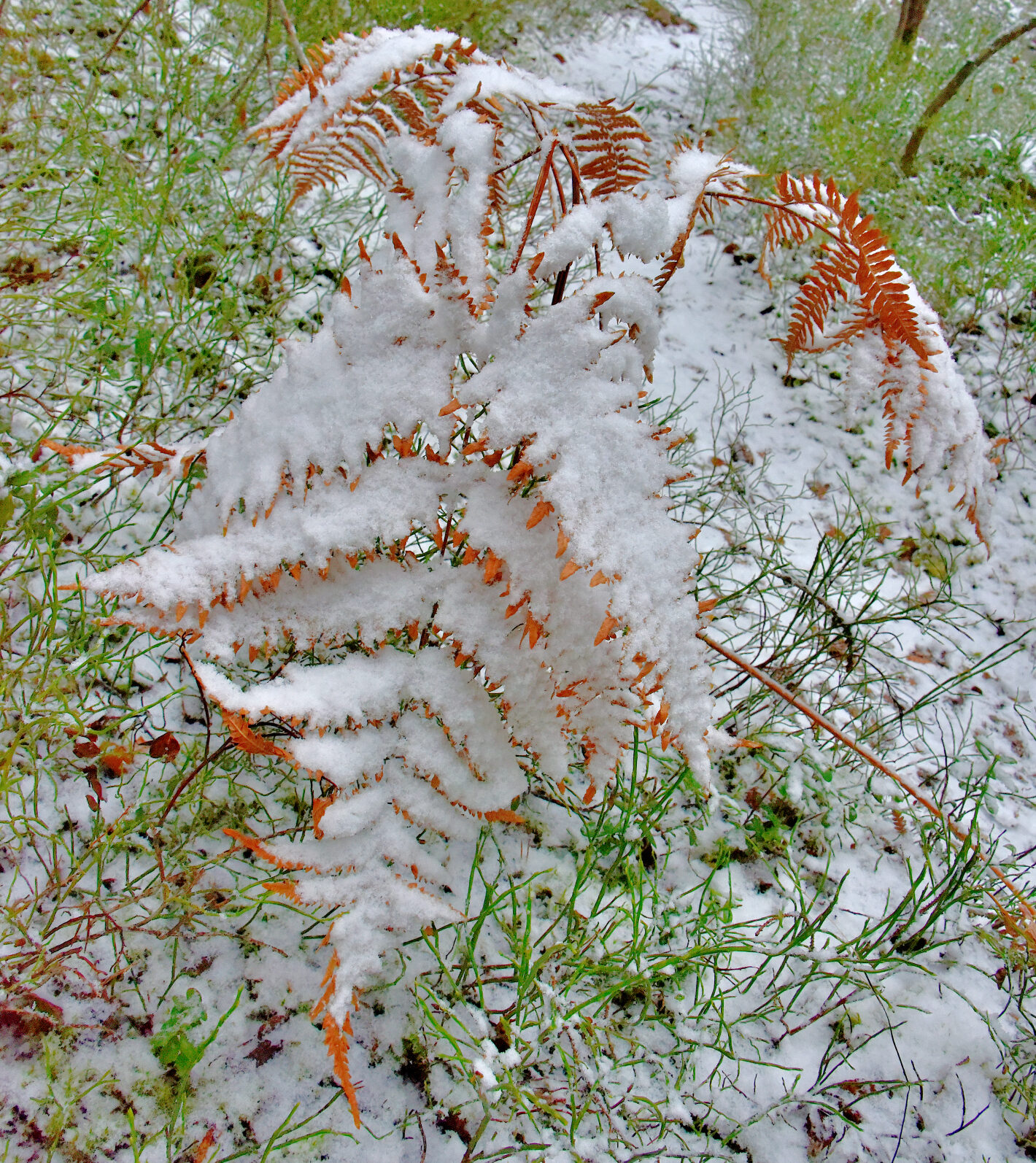 Valokuvaaja: Reijo Juurinen