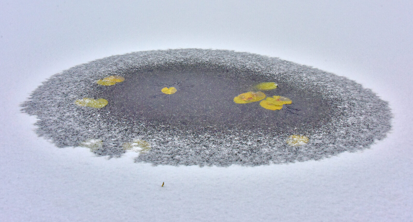 Valokuvaaja: Reijo Juurinen