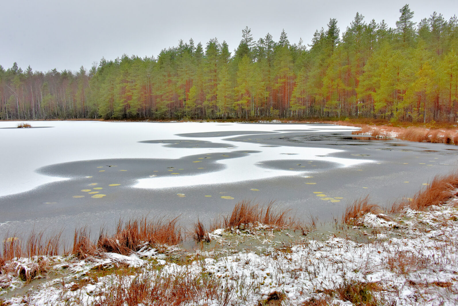 Valokuvaaja: Reijo Juurinen