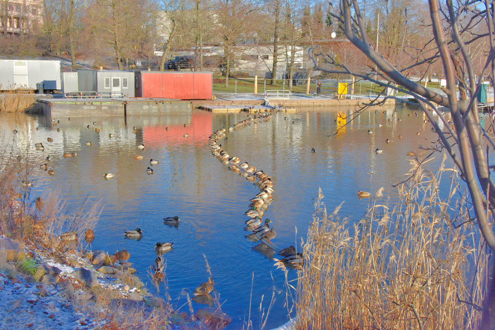 Valokuvaaja: Reijo Juurinen