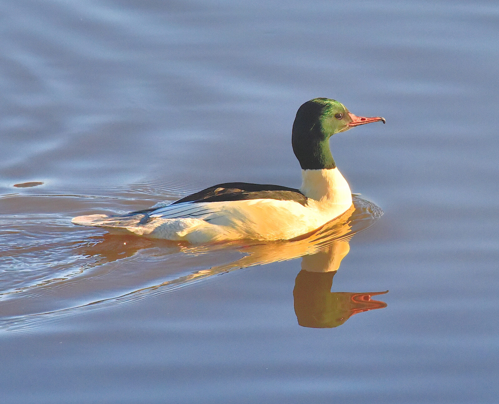 Valokuvaaja: Reijo Juurinen