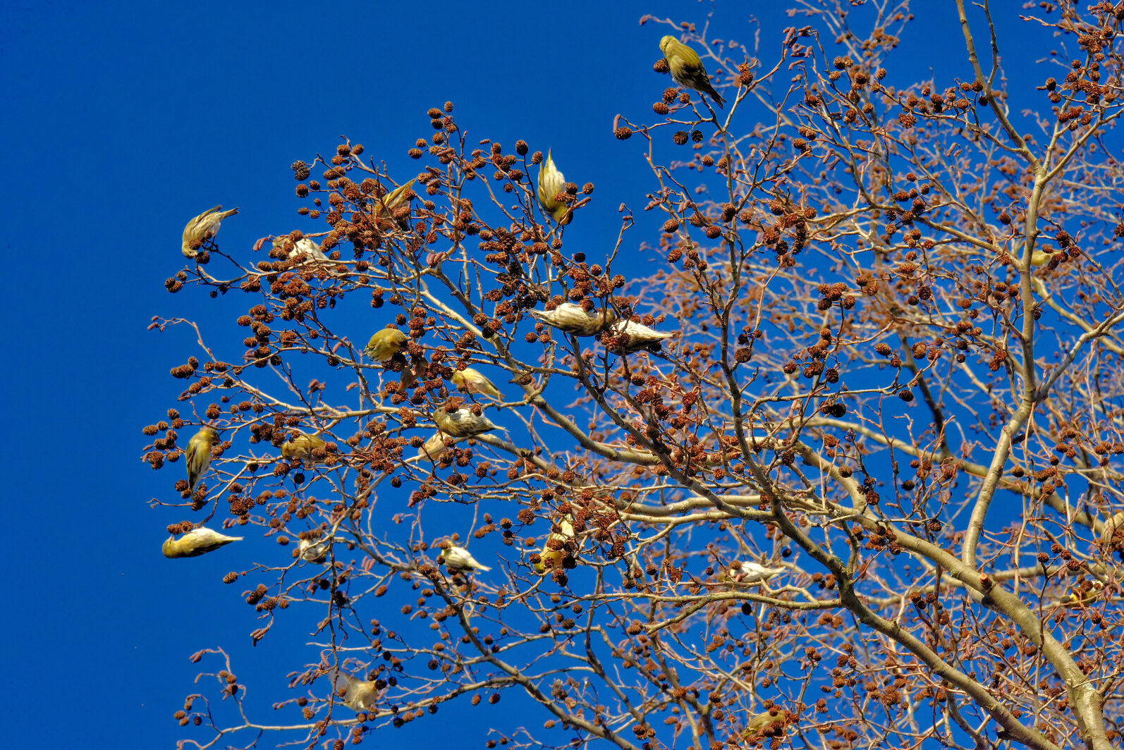 Valokuvaaja: Reijo Juurinen