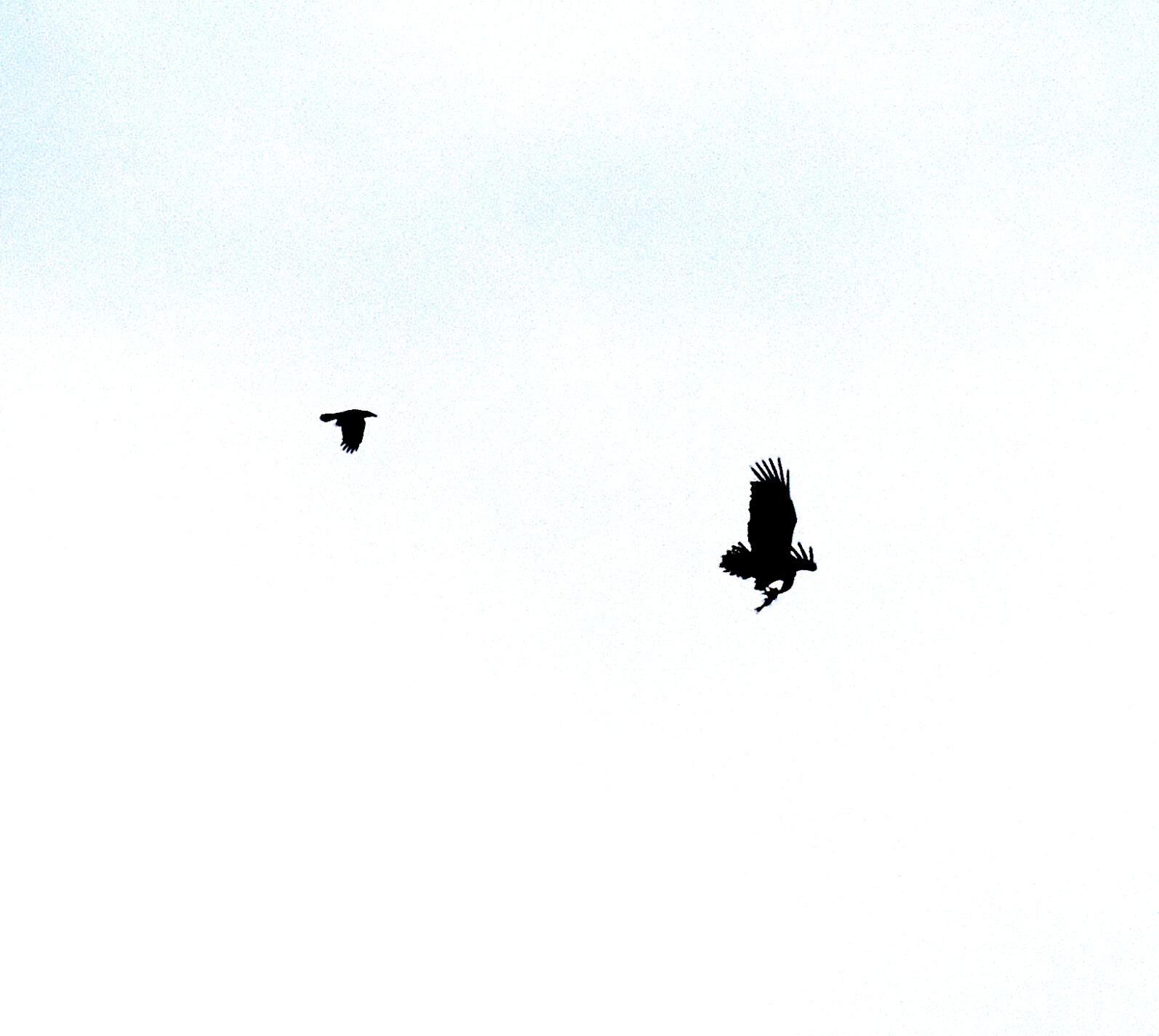 Valokuvaaja: Reijo Juurinen