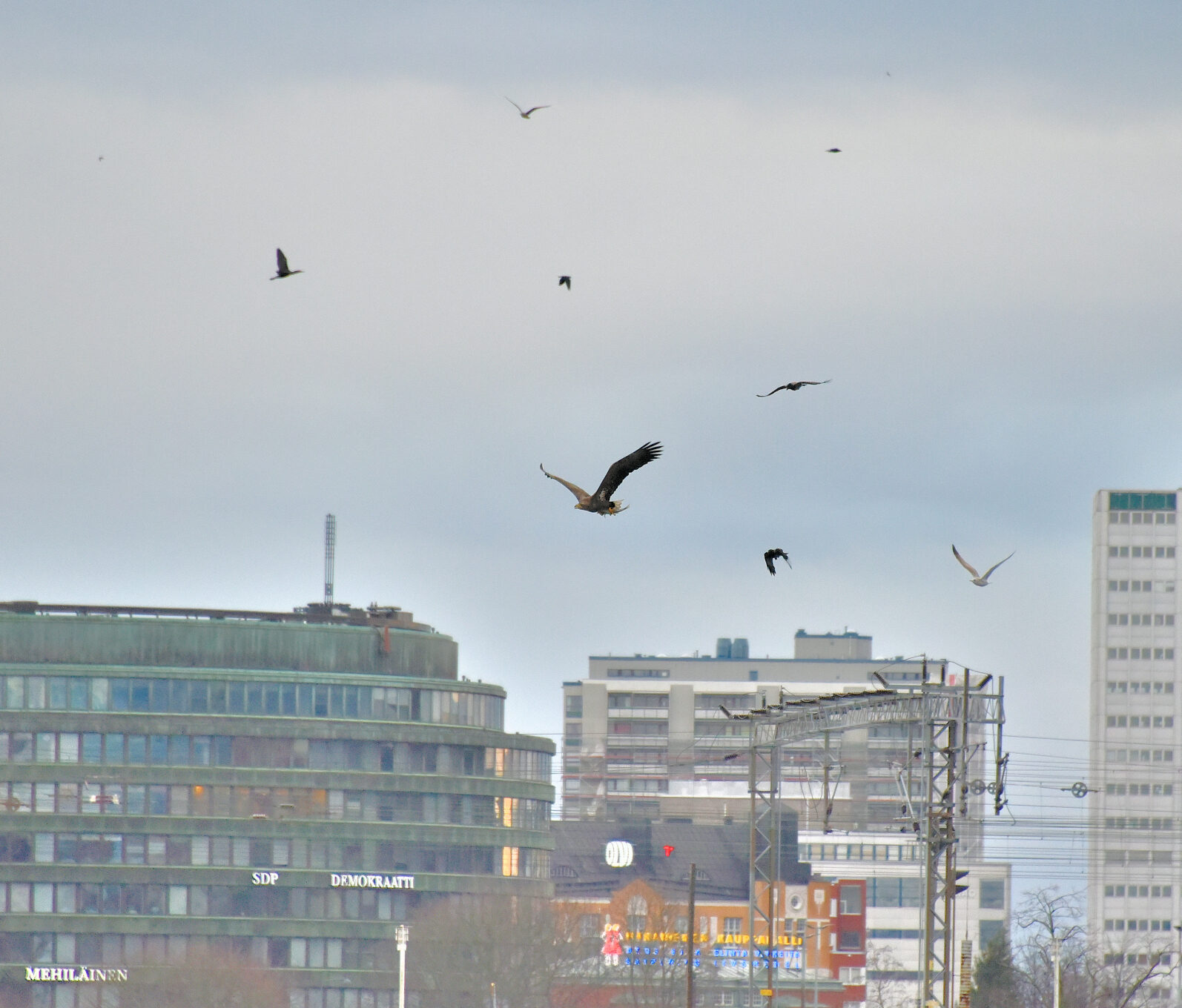 Valokuvaaja: Reijo Juurinen
