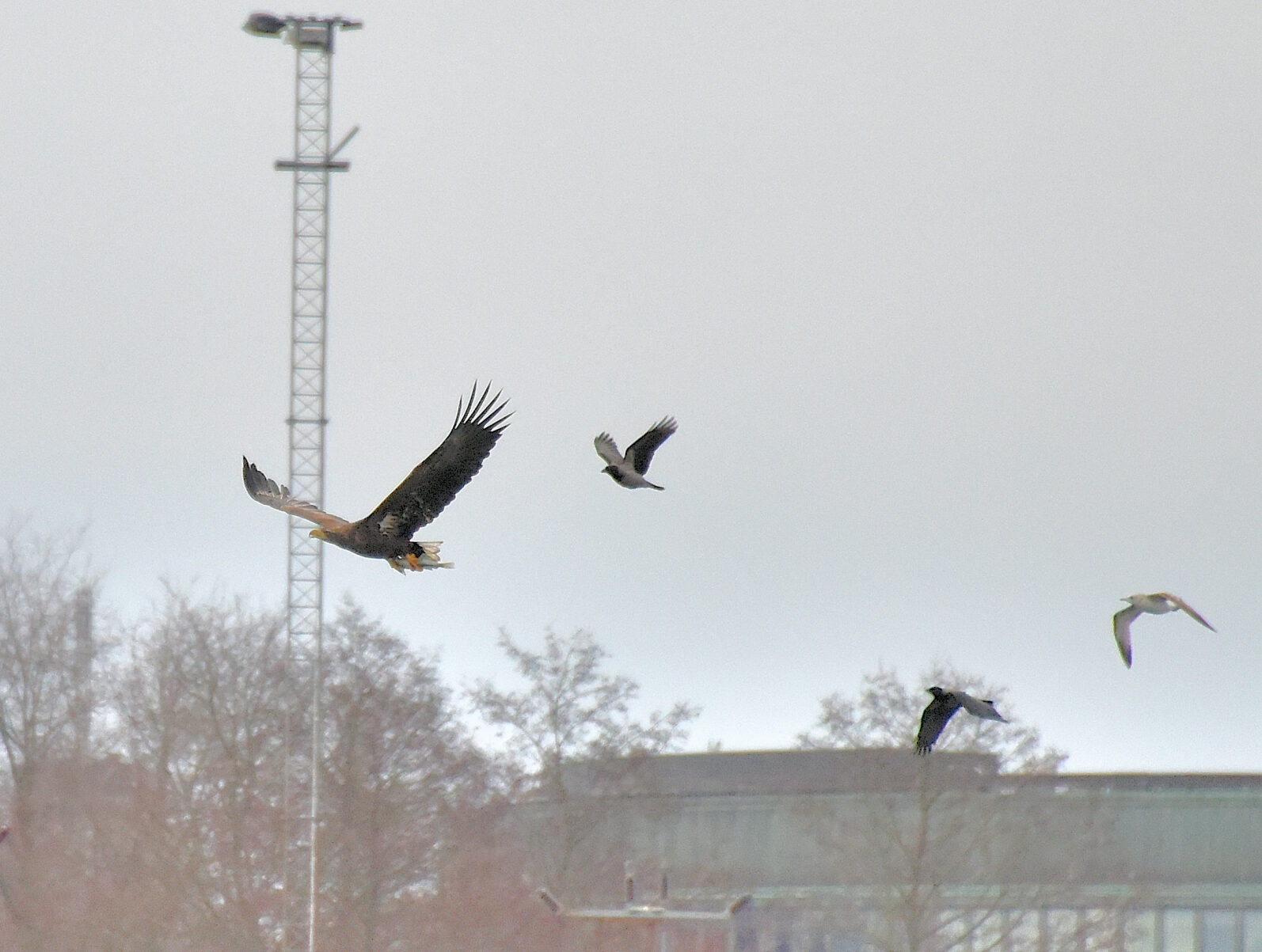 Valokuvaaja: Reijo Juurinen