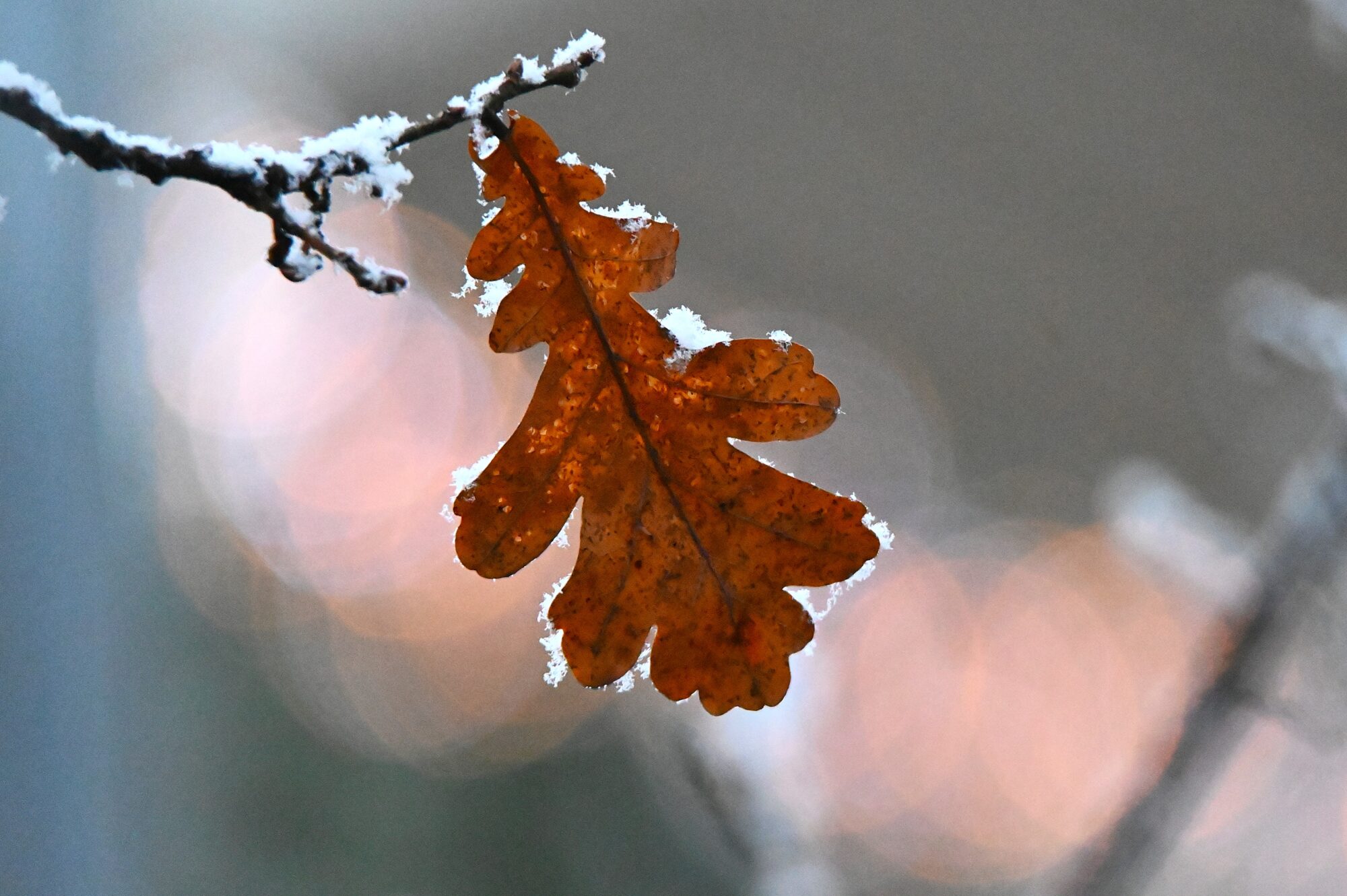 Valokuvaaja: Maarit Siitonen