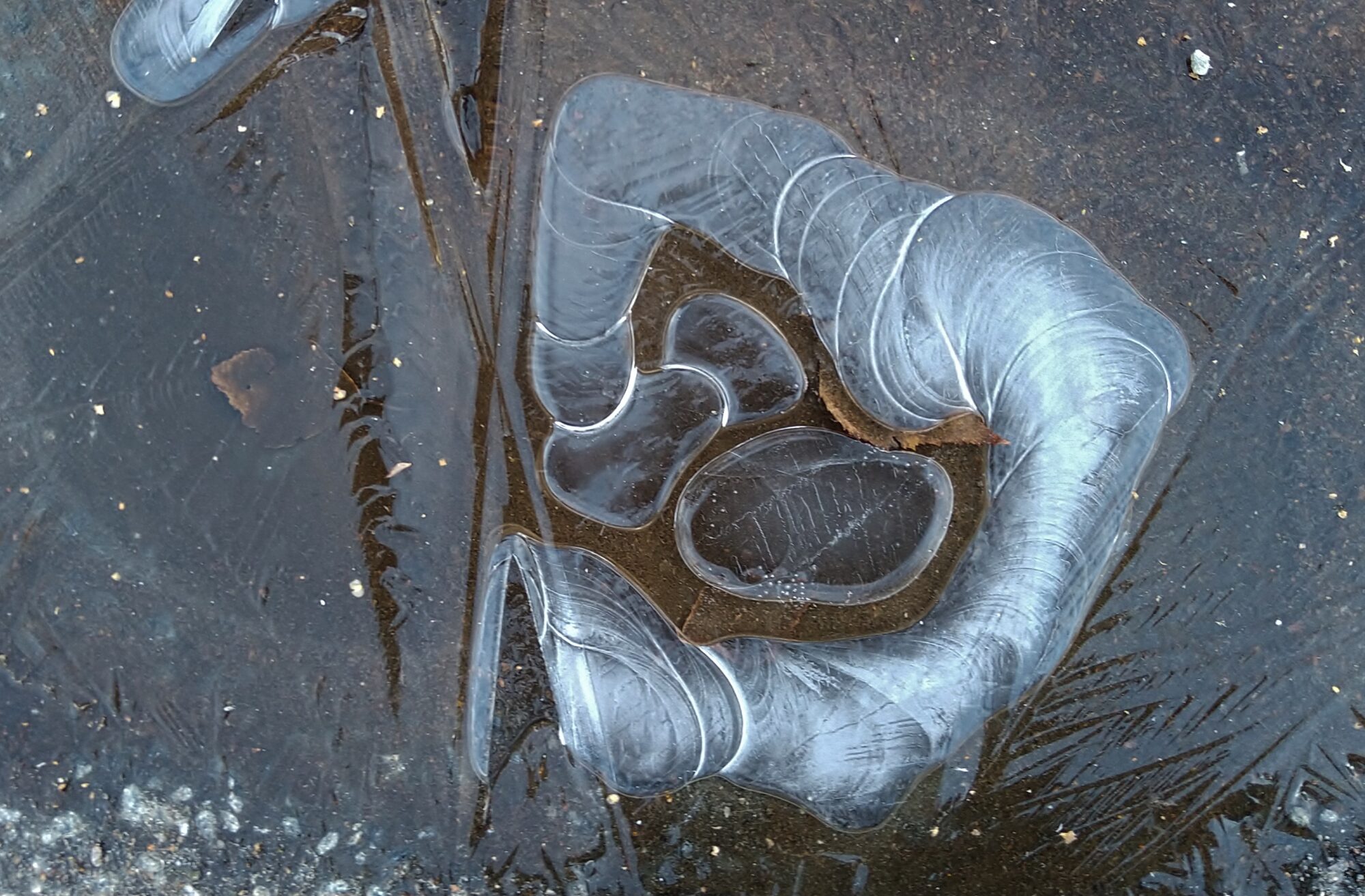 Valokuvaaja: Markku Pelkonen