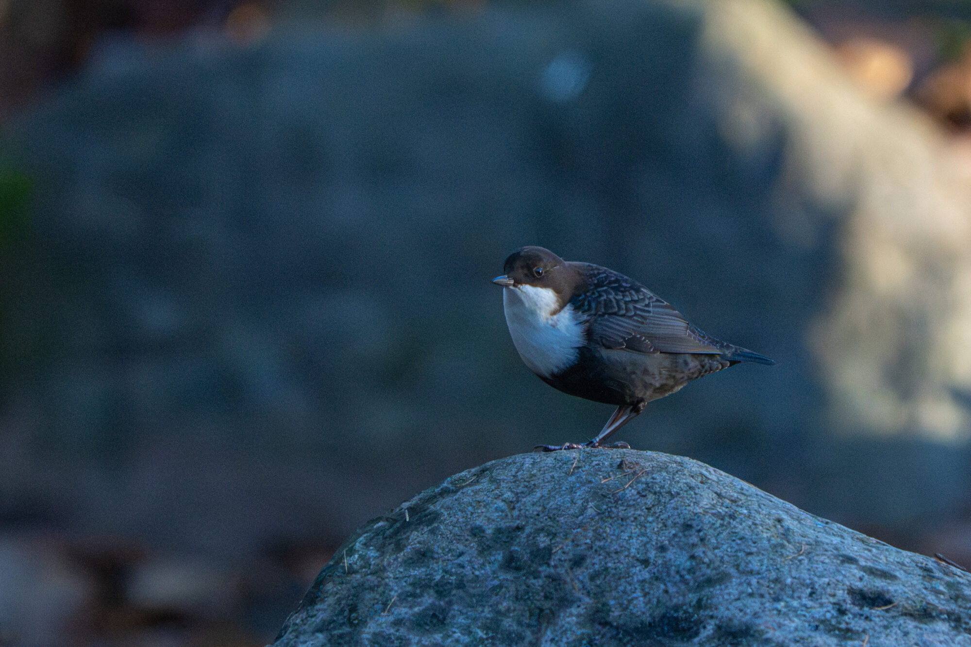 Valokuvaaja: Markku Saarinen