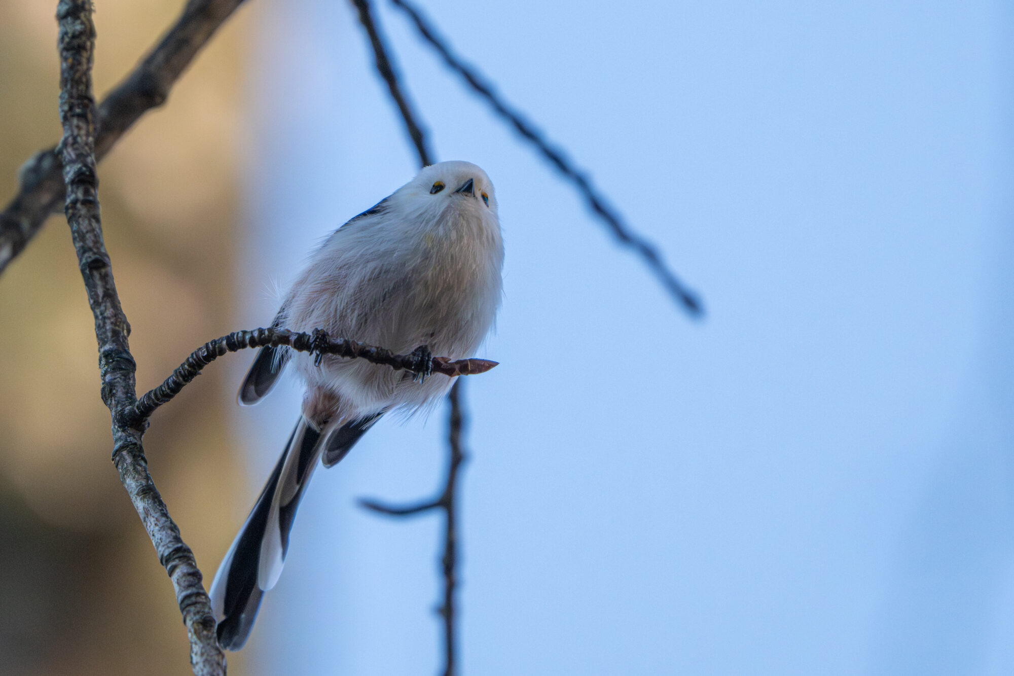 Valokuvaaja: Markku Saarinen