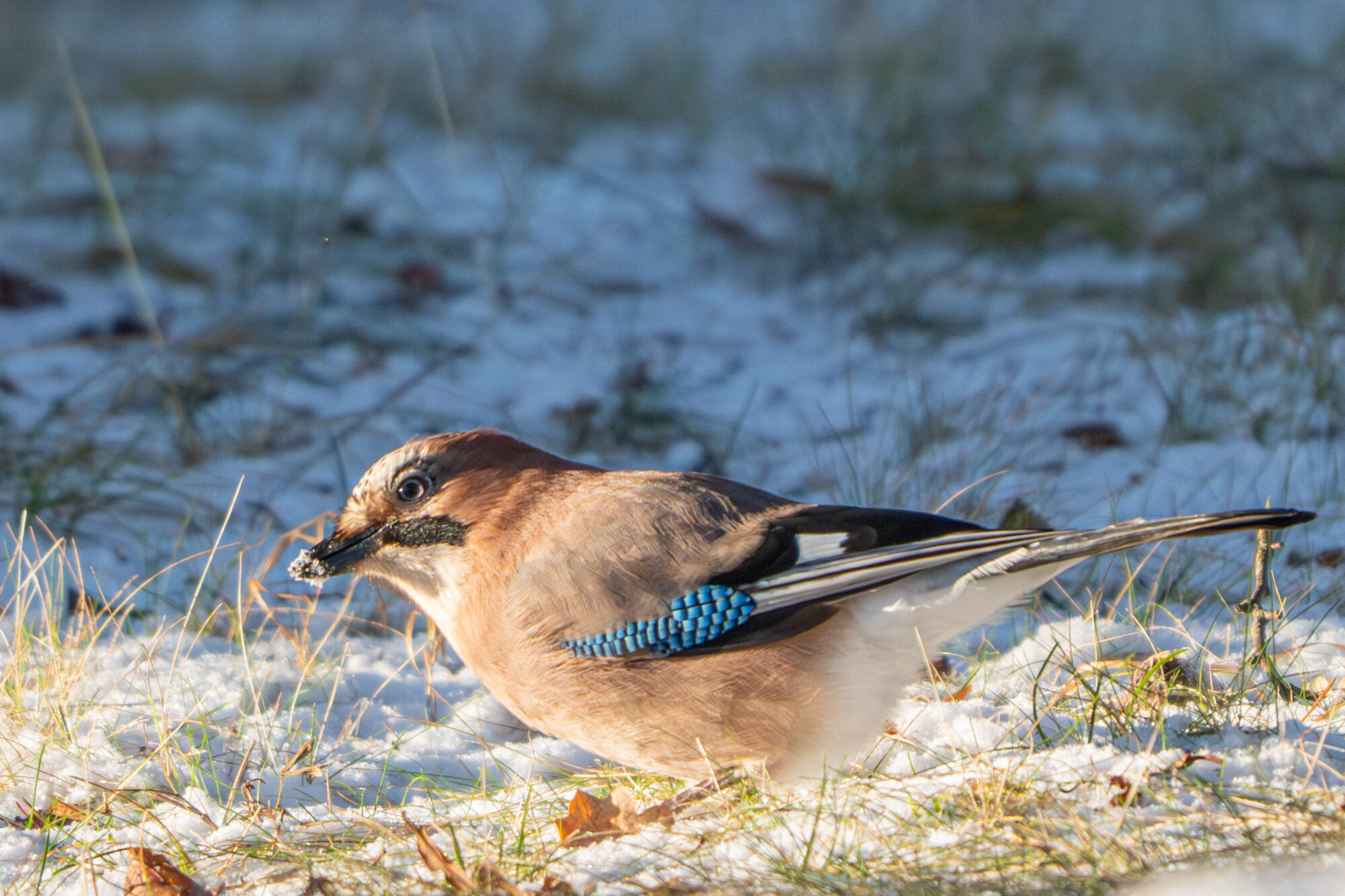 Valokuvaaja: Markku Saarinen