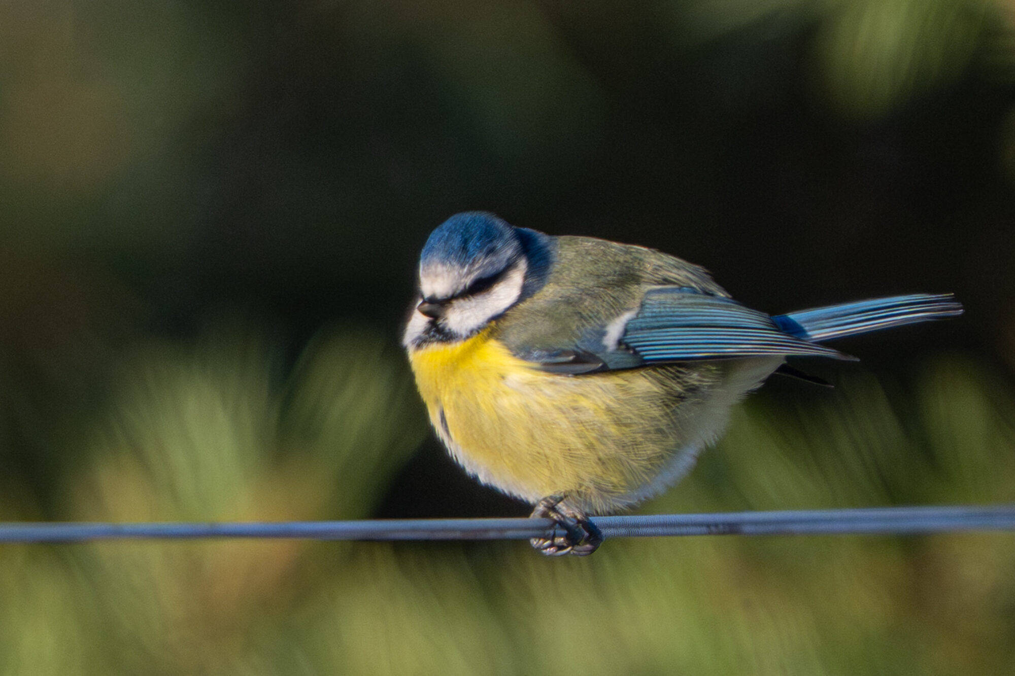 Valokuvaaja: Markku Saarinen