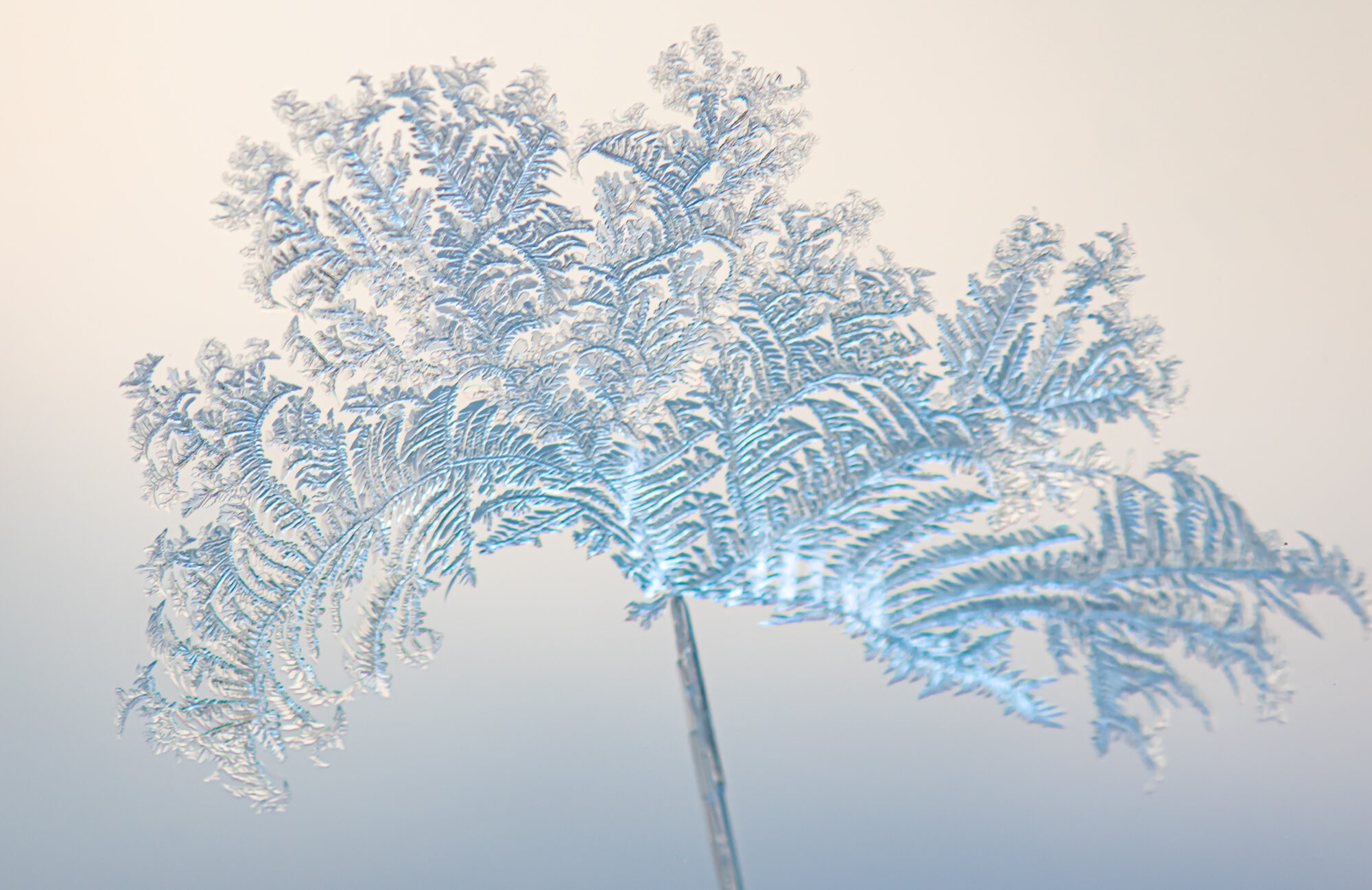 Valokuvaaja: Leena Rissanen