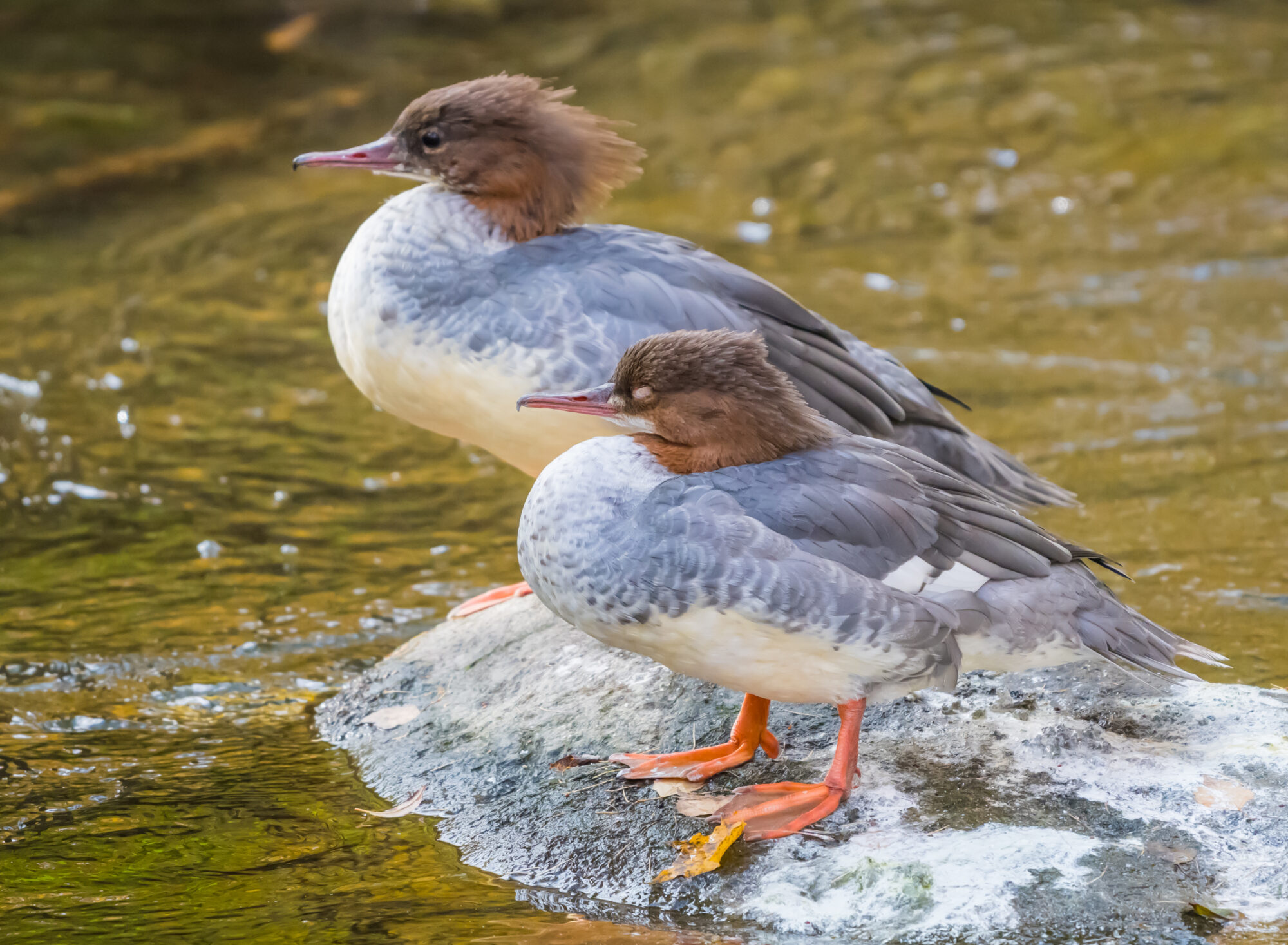 Valokuvaaja: Markku Saarinen