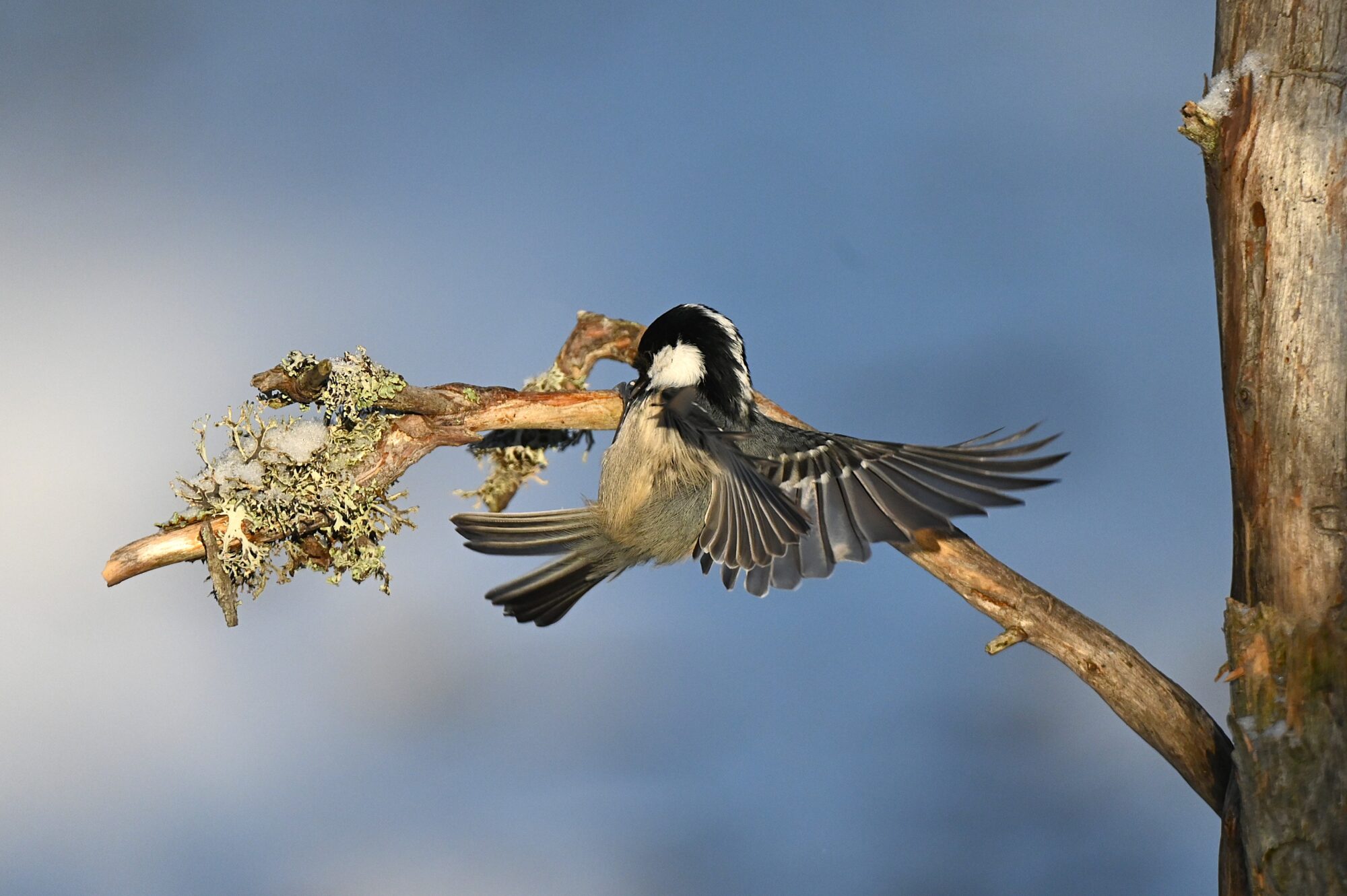 Valokuvaaja: Maarit Siitonen
