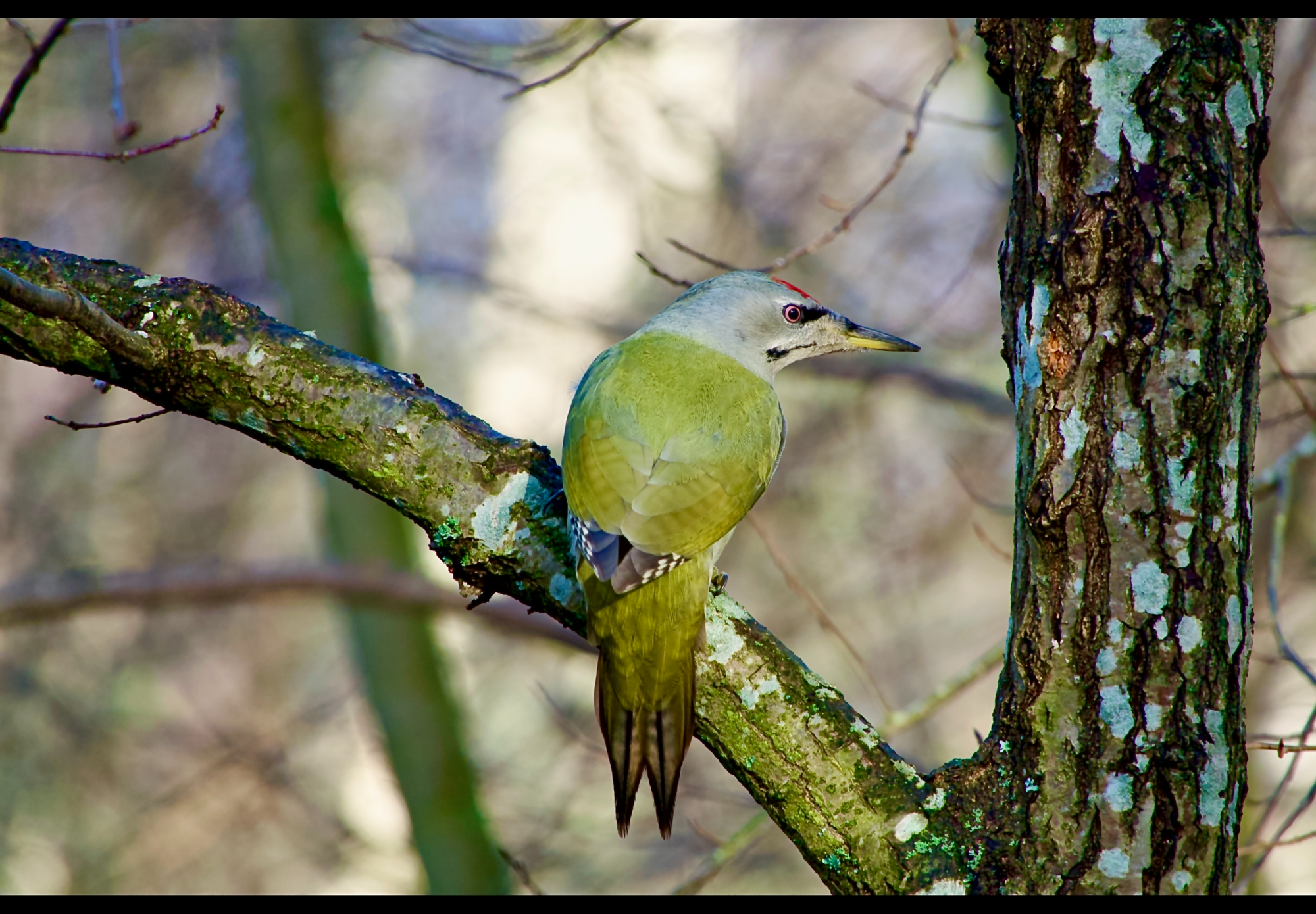 Valokuvaaja: Juha Naukkarinen