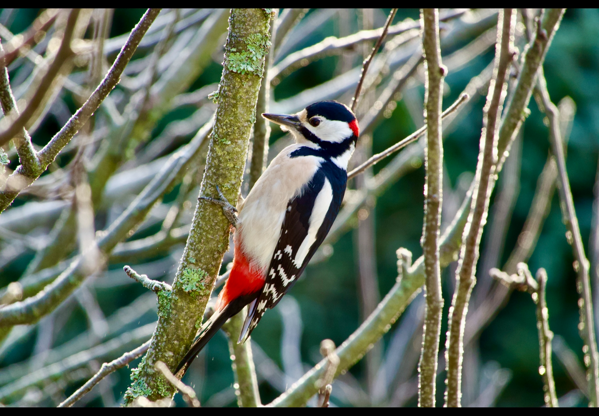 Valokuvaaja: Juha Naukkarinen