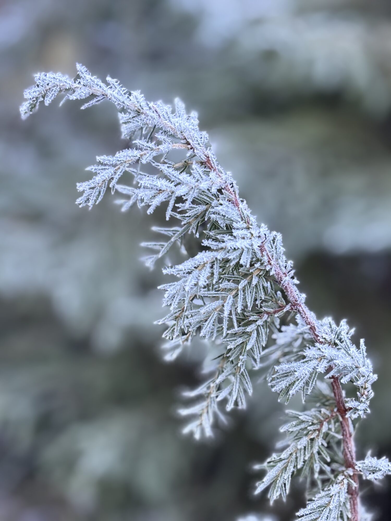 Valokuvaaja: Asta Erholtz