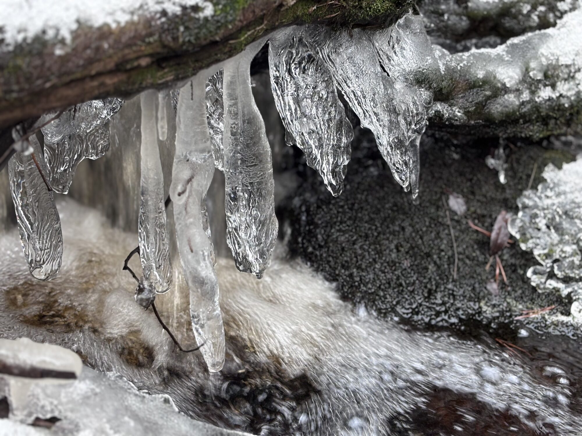 Valokuvaaja: Asta Erholtz
