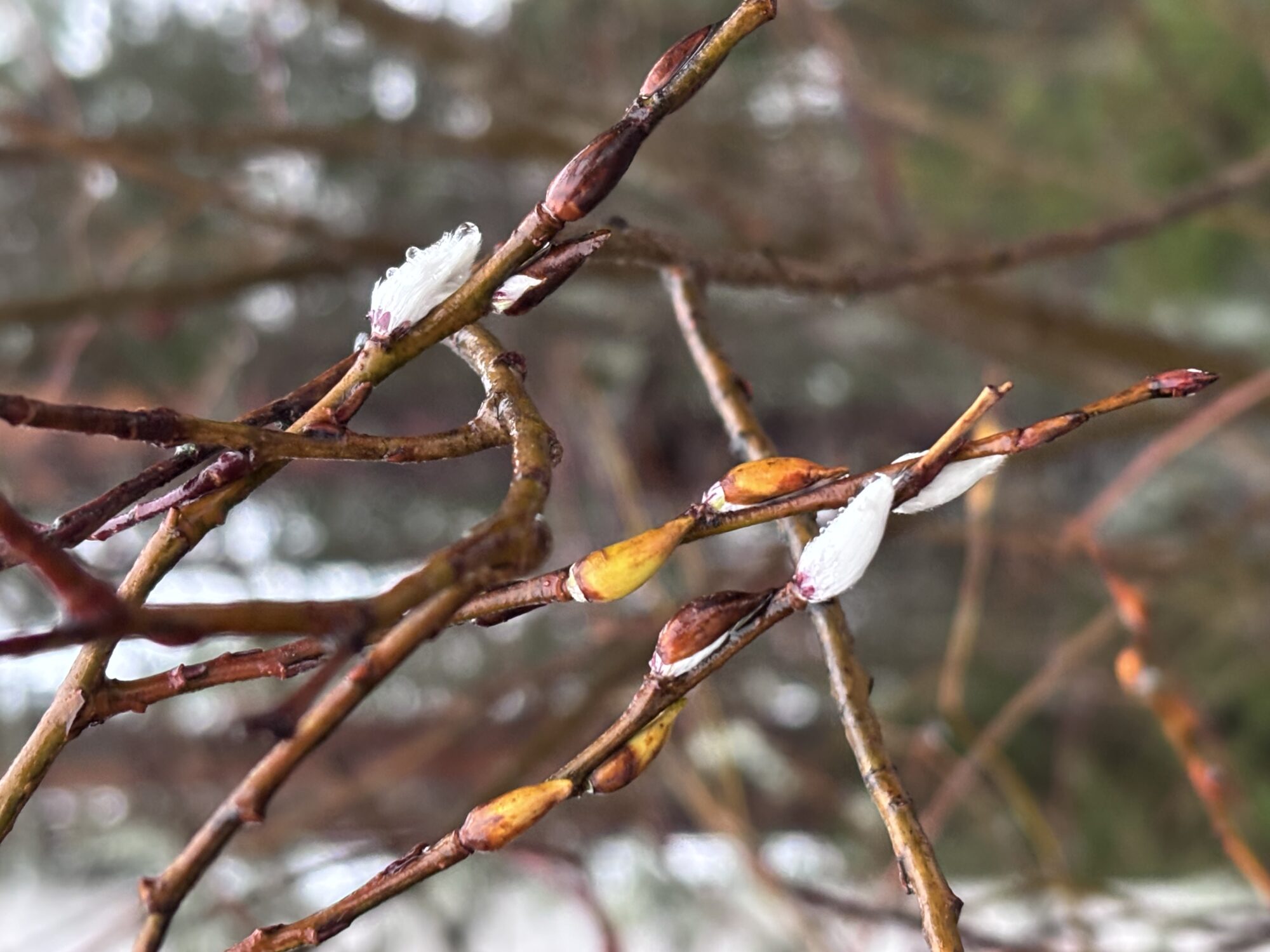 Valokuvaaja: Asta Erholtz