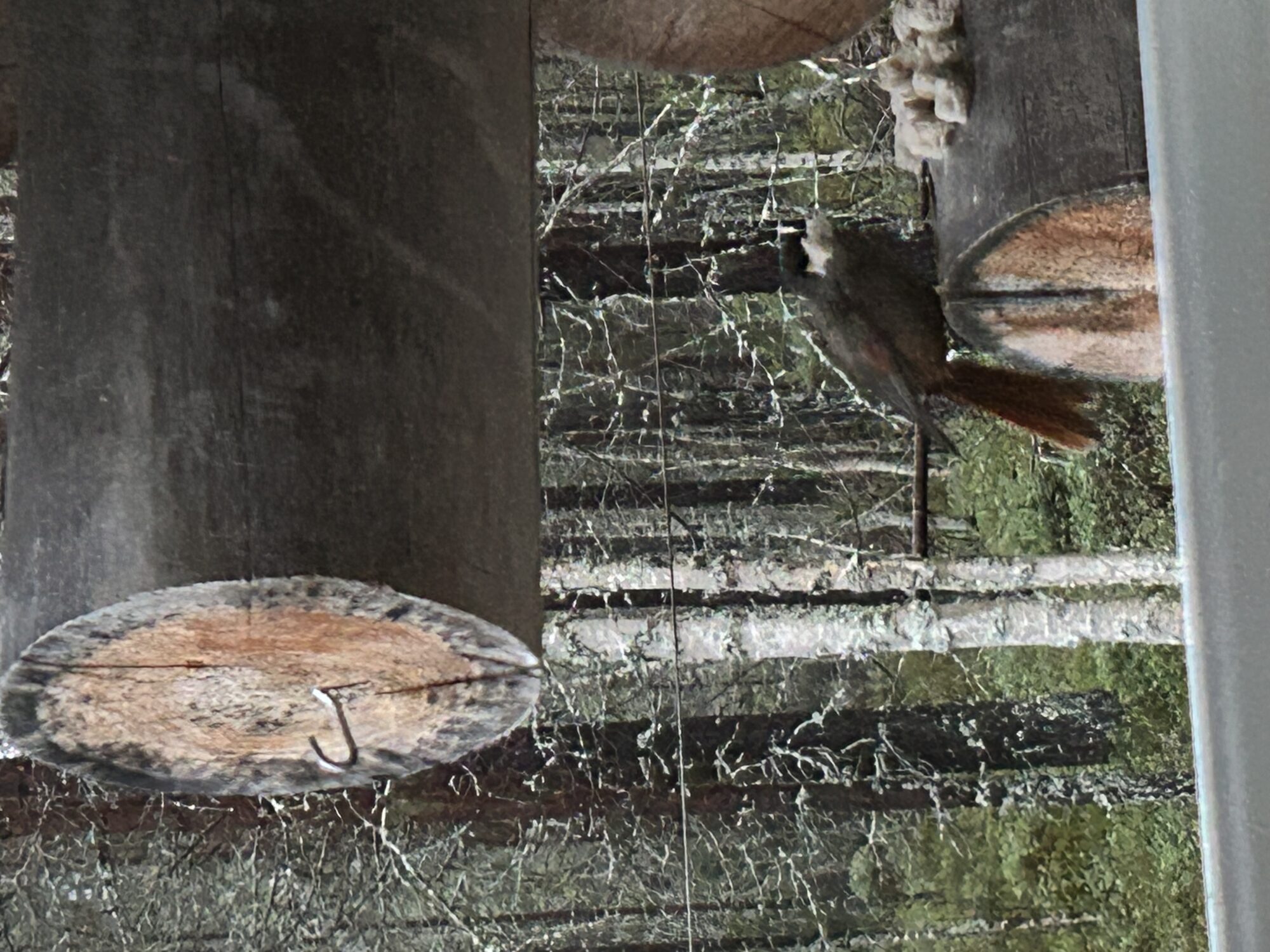 Valokuvaaja: Aava-Leena Kurki