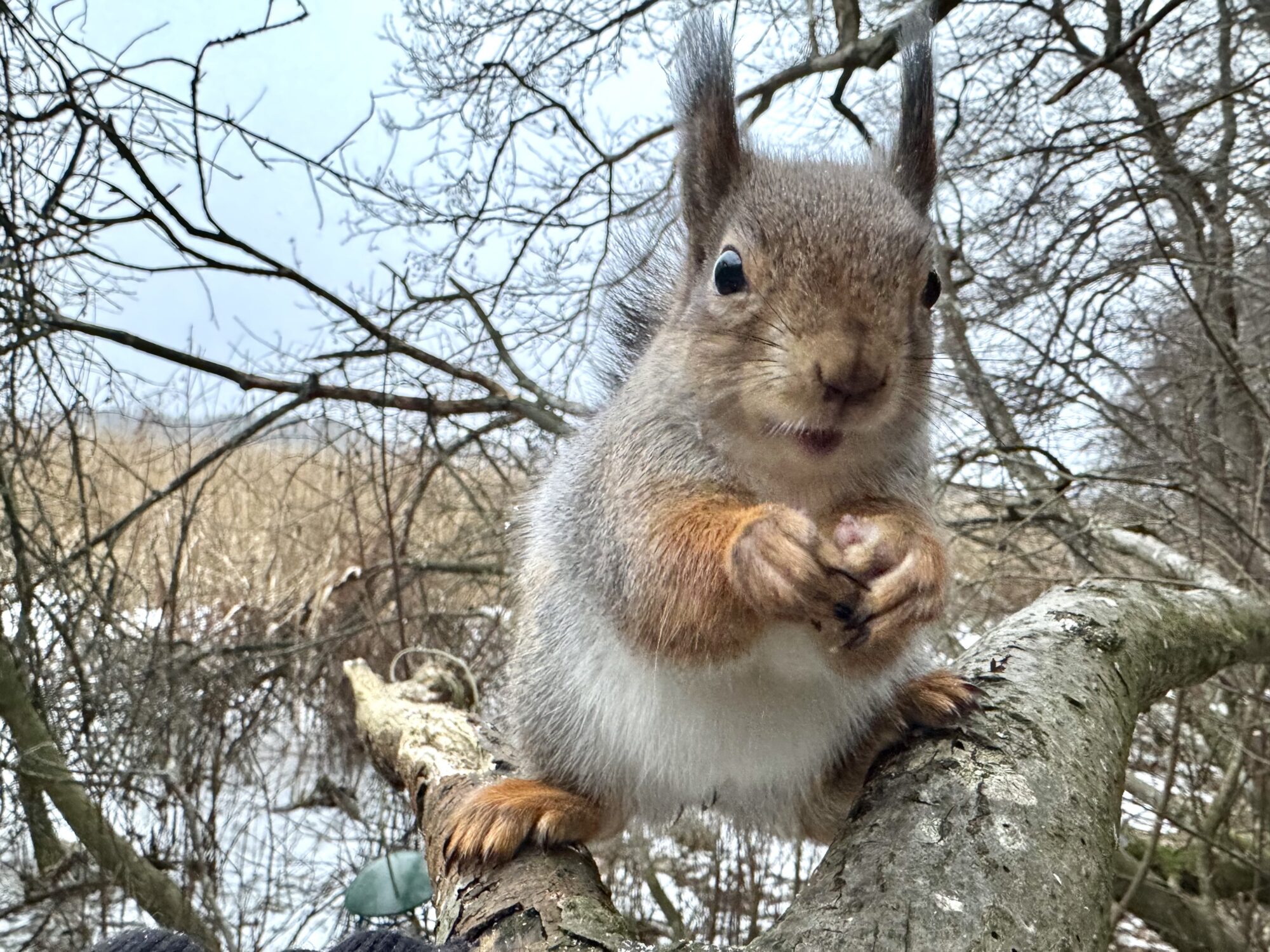 Valokuvaaja: Juhani Peltonen