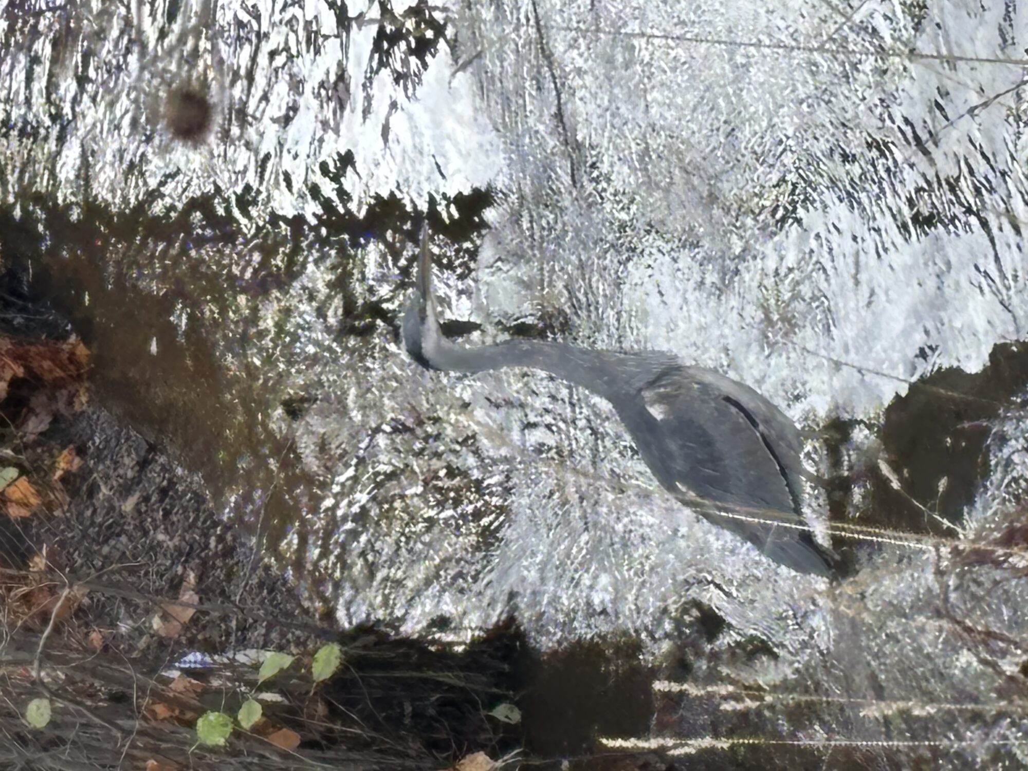 Valokuvaaja: Arto Kulju