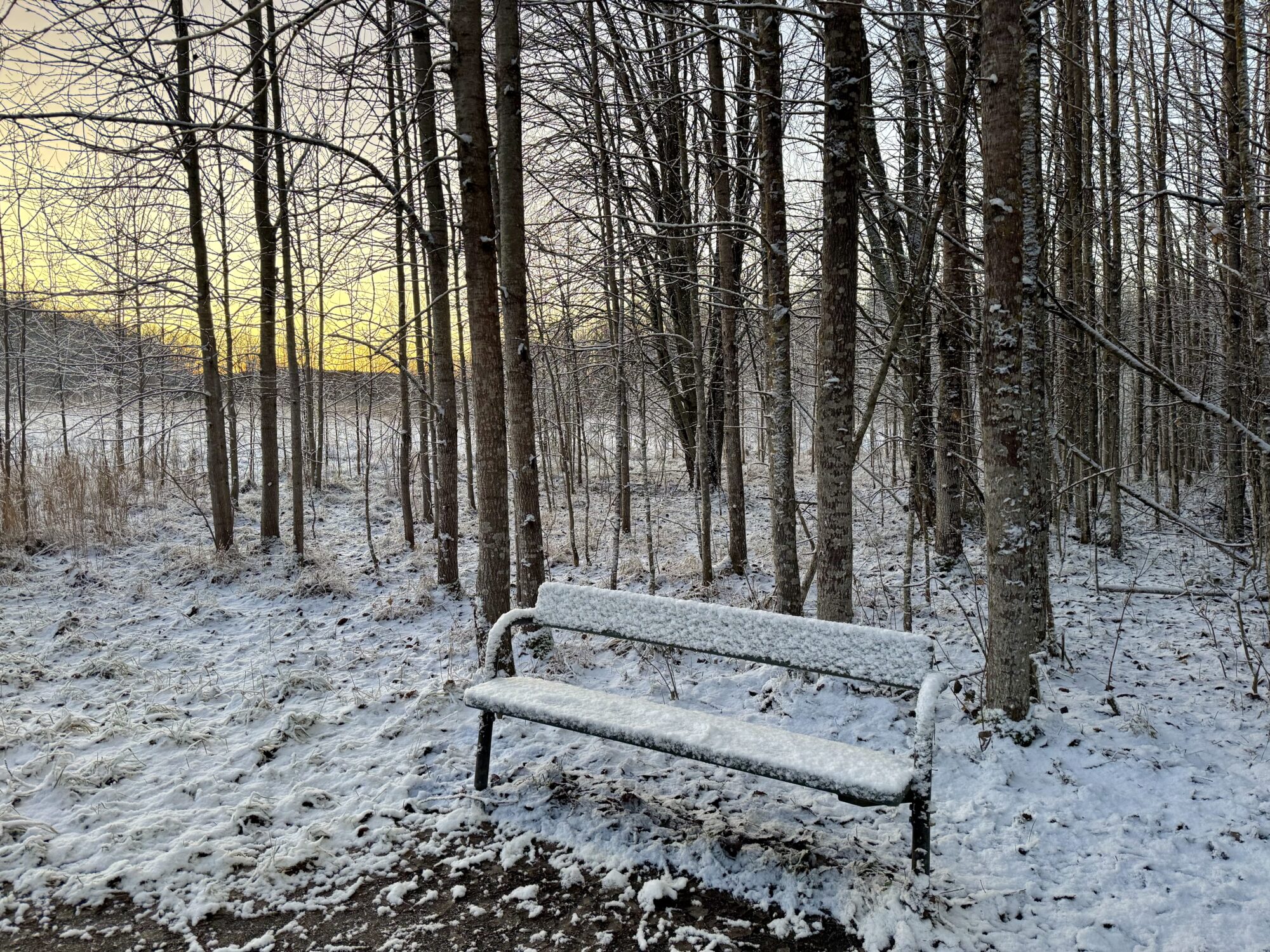 Valokuvaaja: Juhani Peltonen