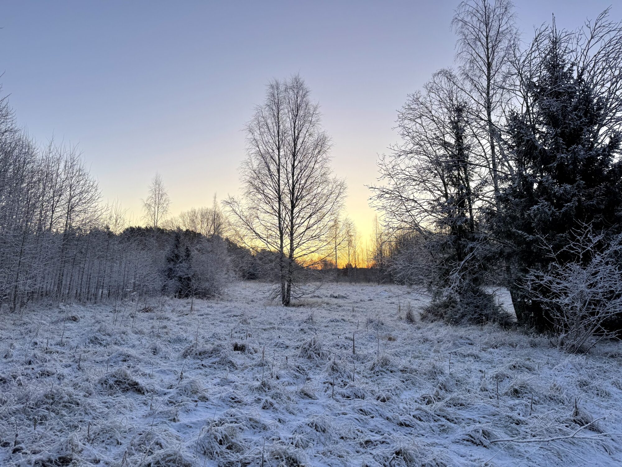 Valokuvaaja: Juhani Peltonen