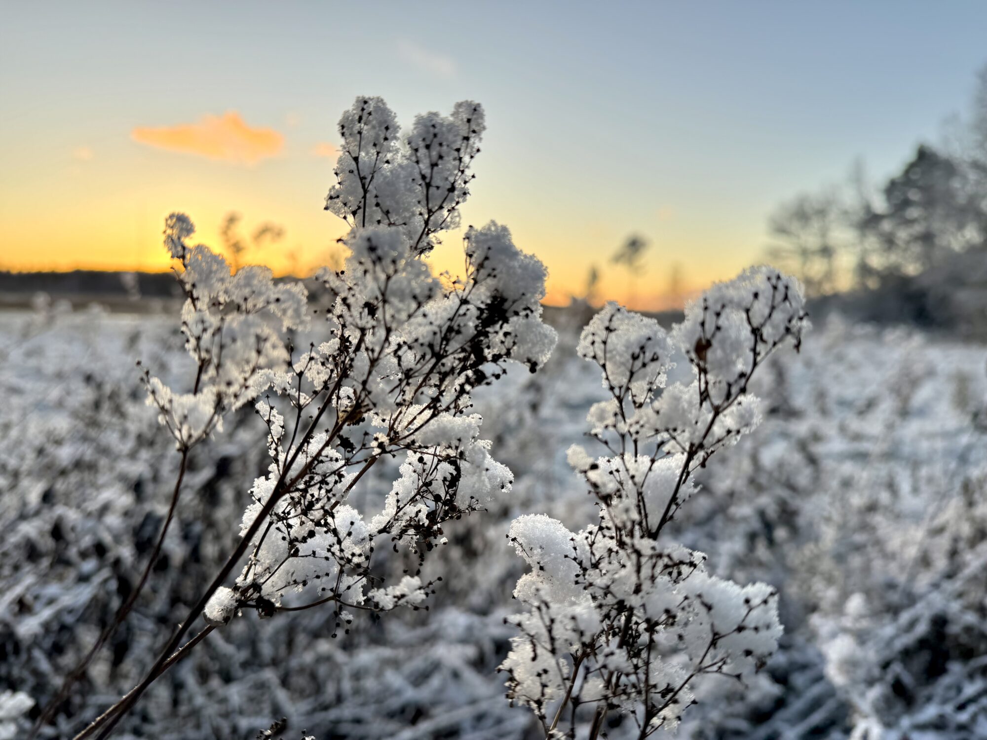 Valokuvaaja: Juhani Peltonen