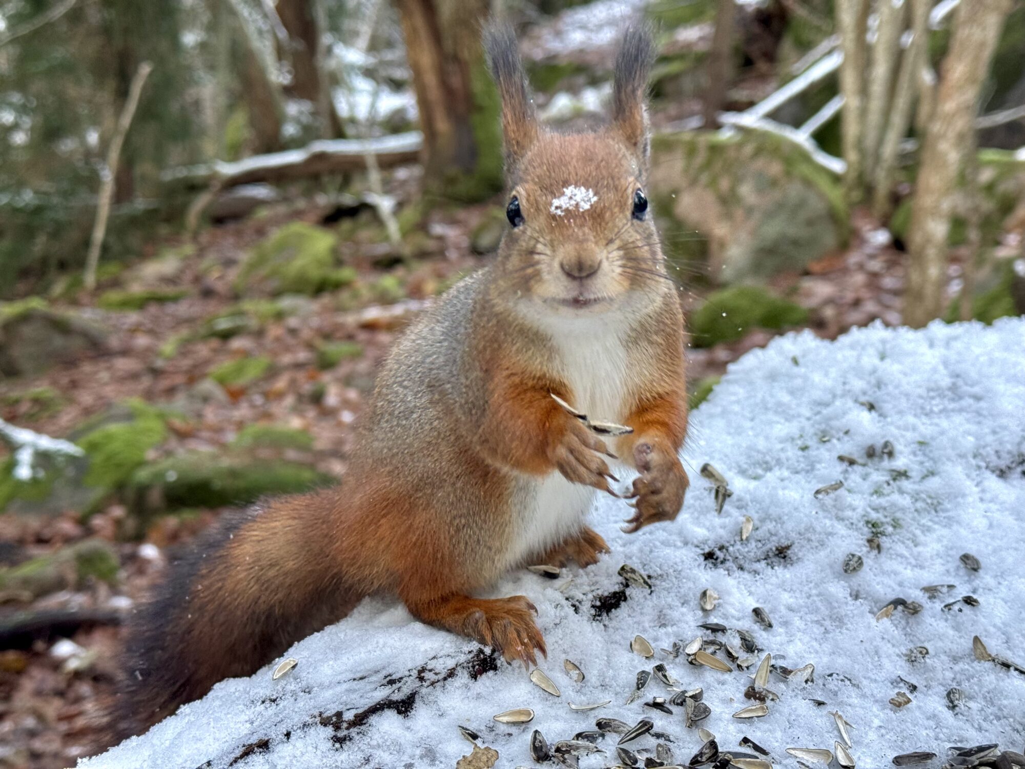 Valokuvaaja: Juhani Peltonen