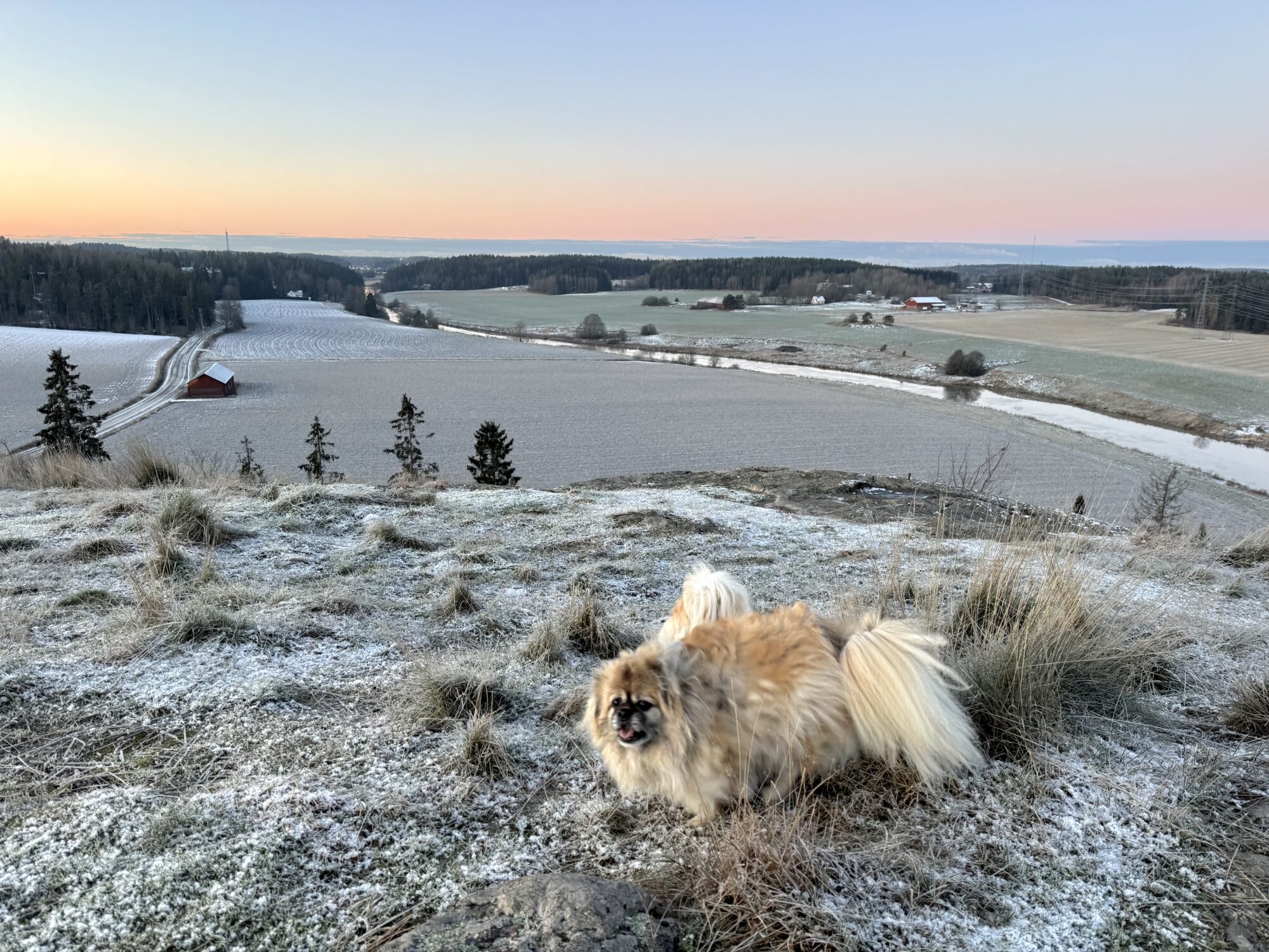 Valokuvaaja: Juhani Peltonen