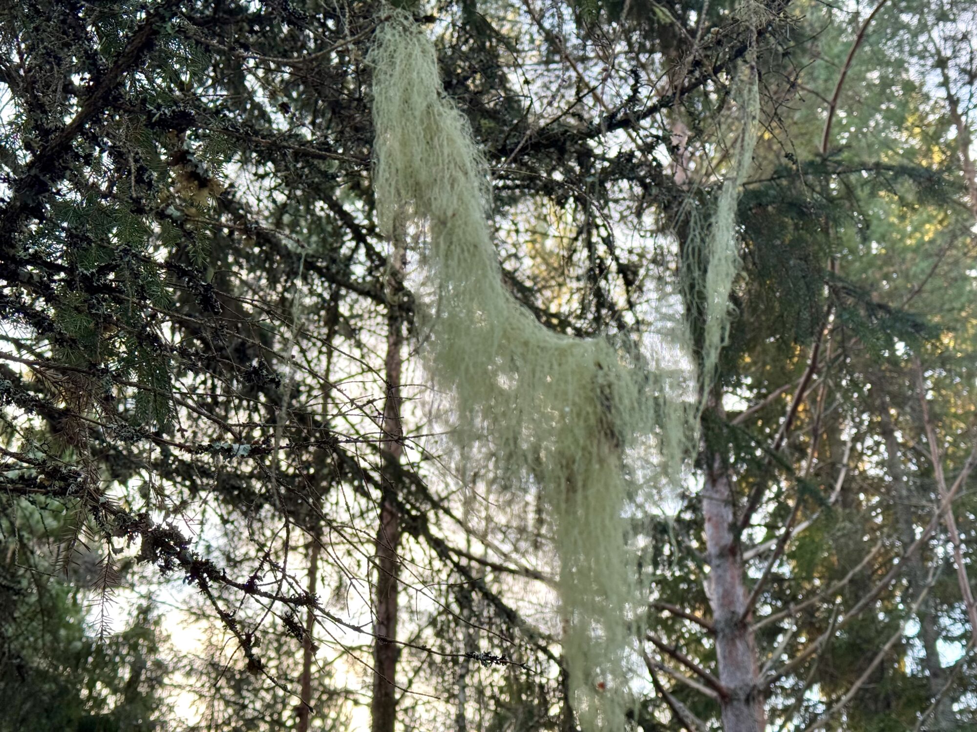 Valokuvaaja: Juhani Peltonen