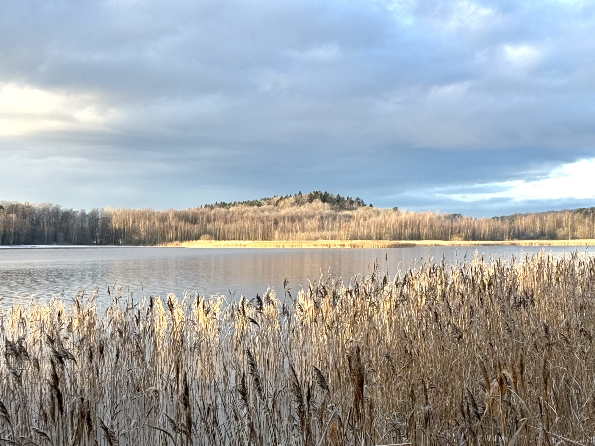 Valokuvaaja: Juhani Peltonen