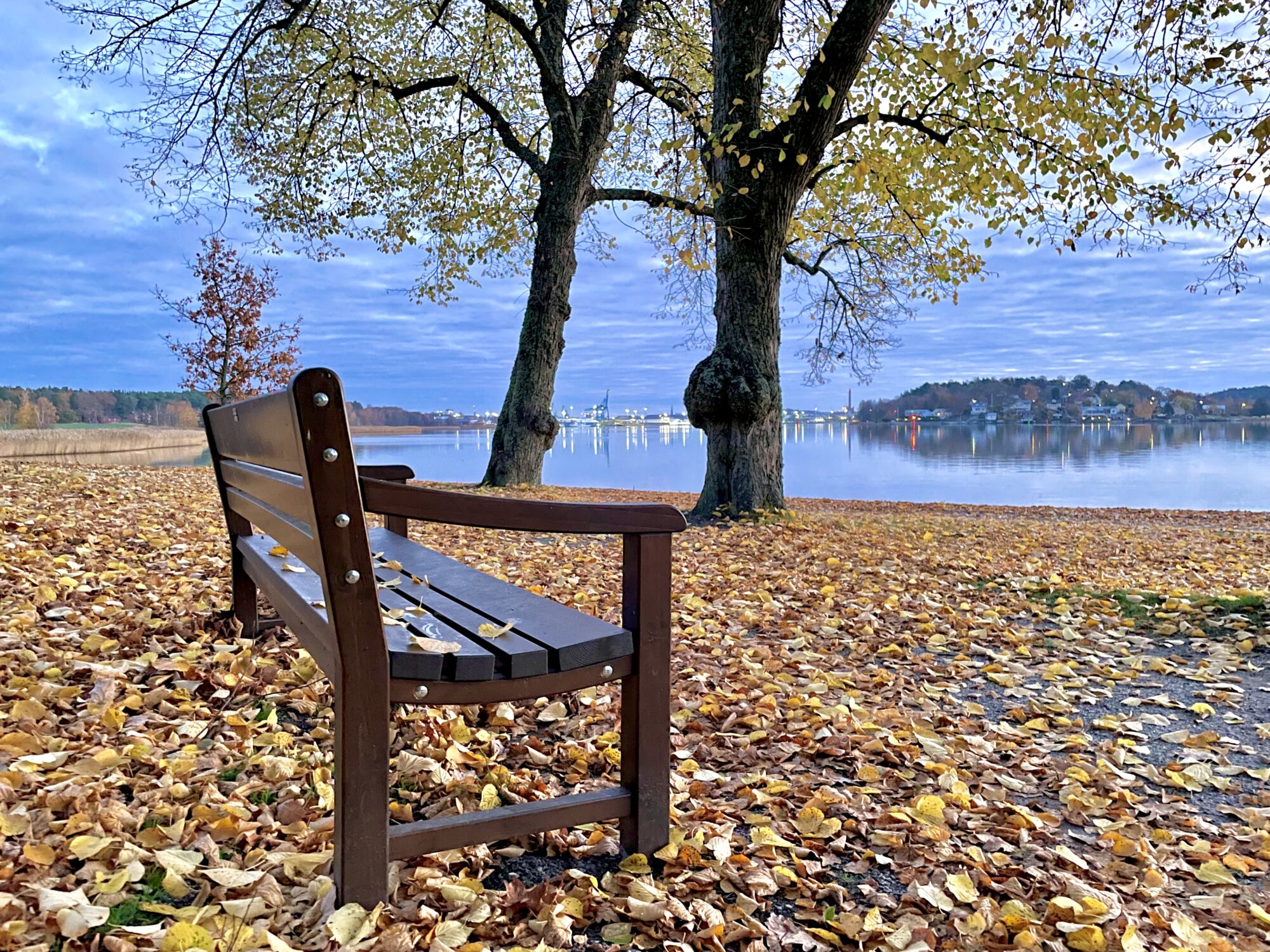 Valokuvaaja: Juhani Peltonen