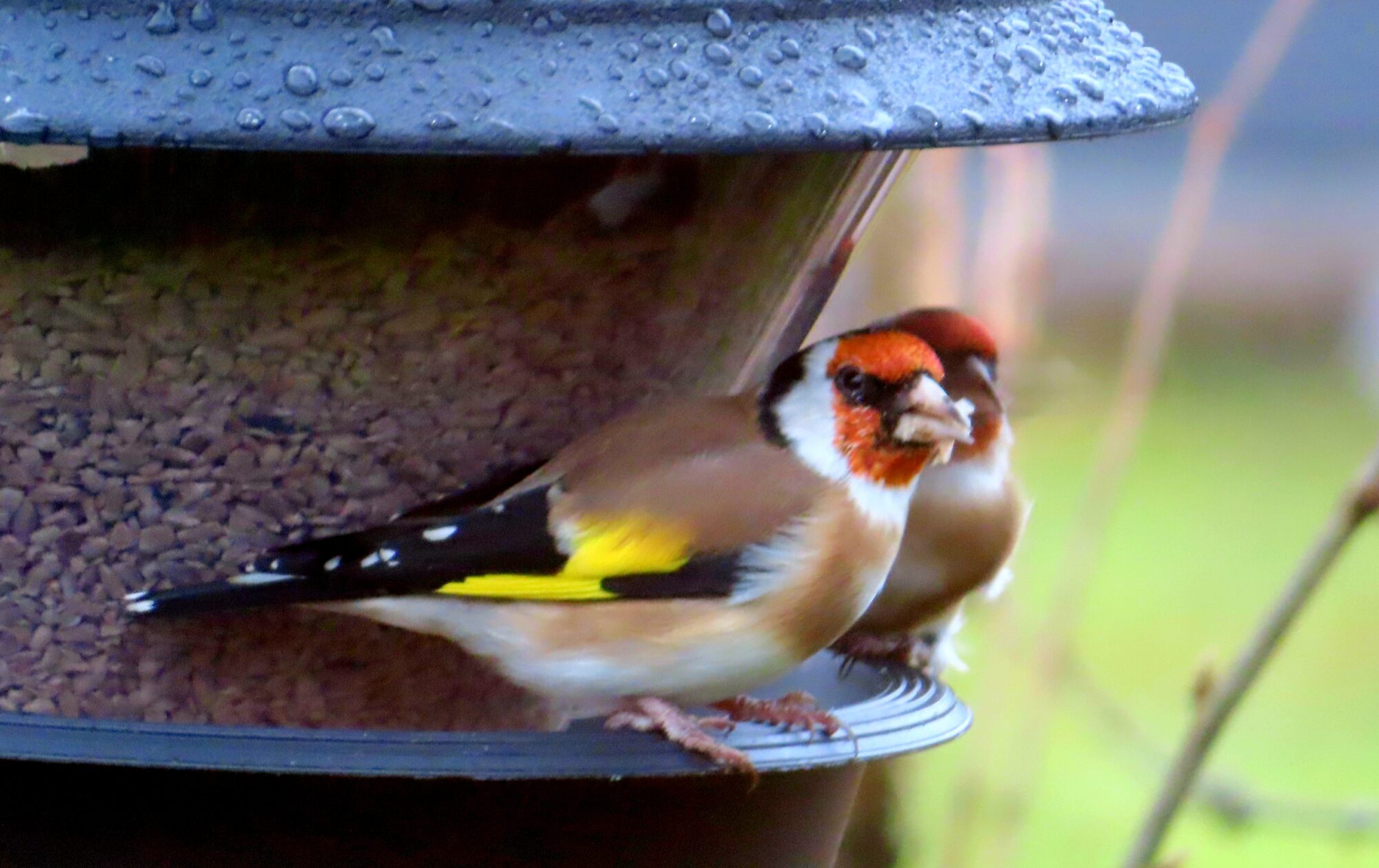 Valokuvaaja: Soili Jalava