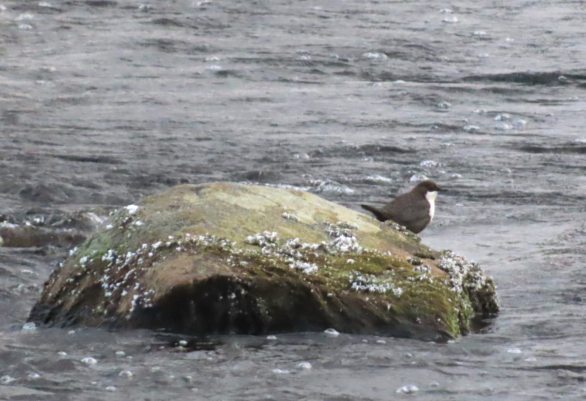 Valokuvaaja: Soili Jalava