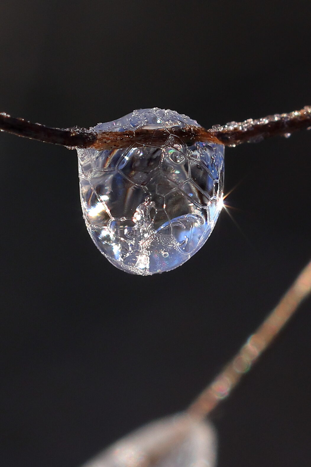 Valokuvaaja: Jouni Kalliomäki