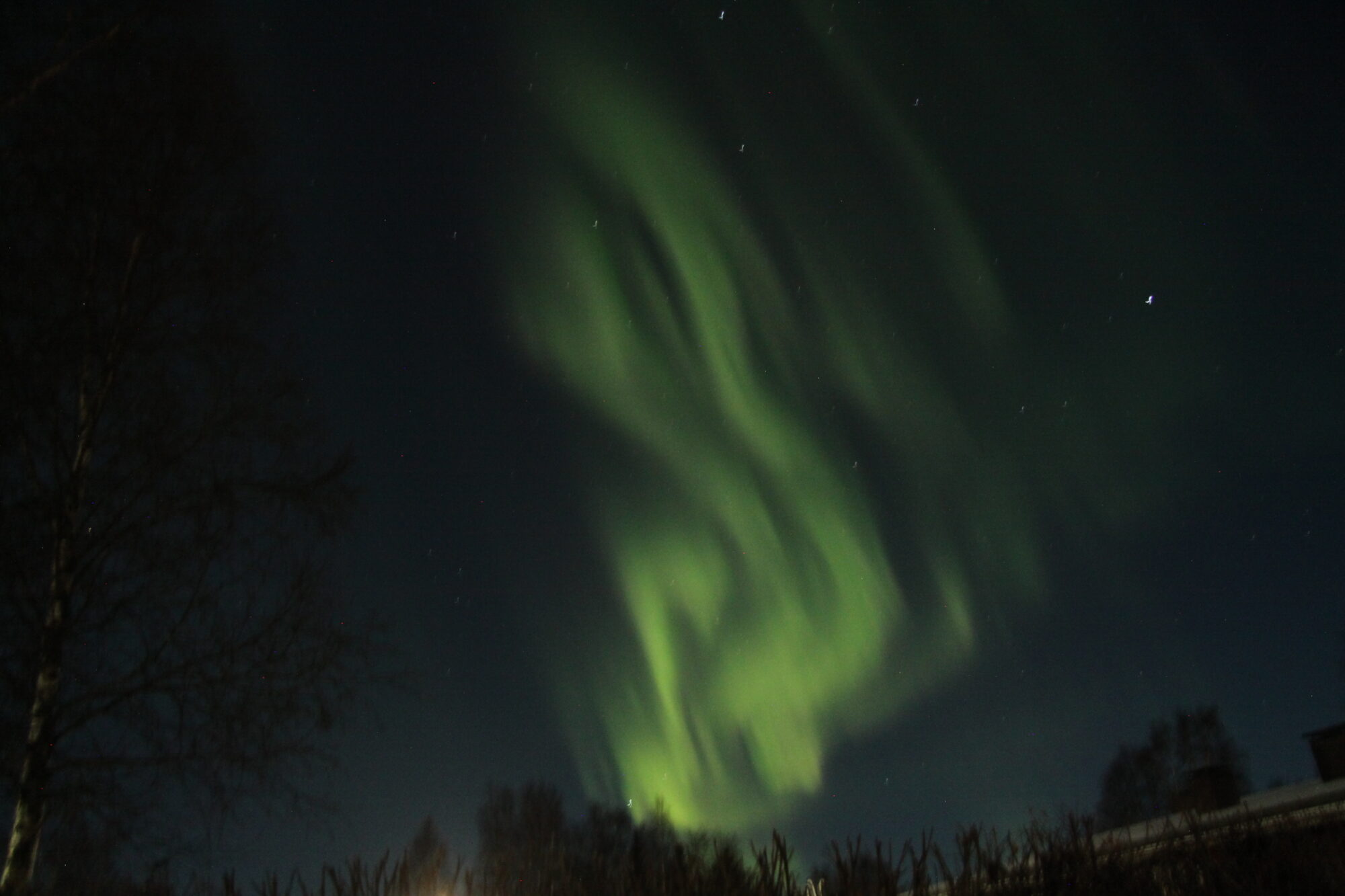 Valokuvaaja: Pirkko Siukonen