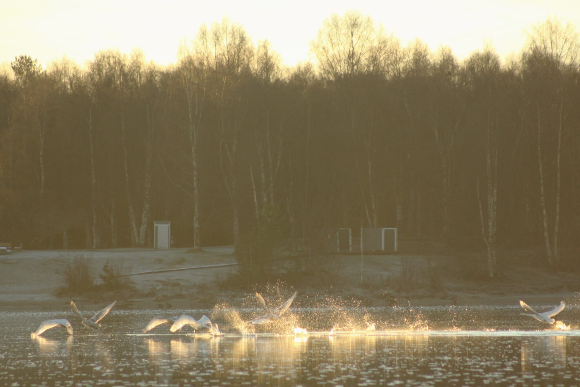 Valokuvaaja: Pirkko Siukonen