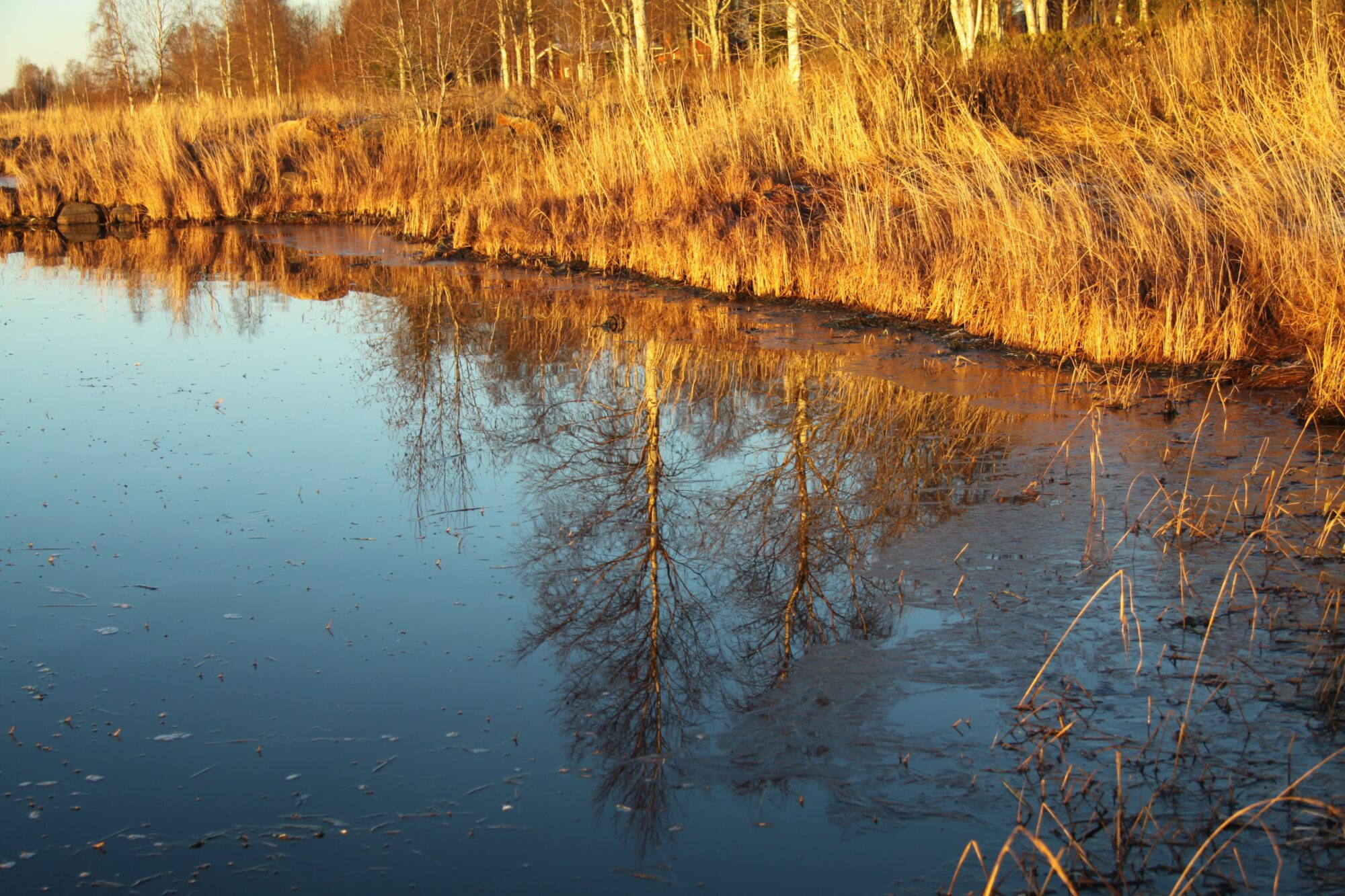 Valokuvaaja: Pirkko Siukonen