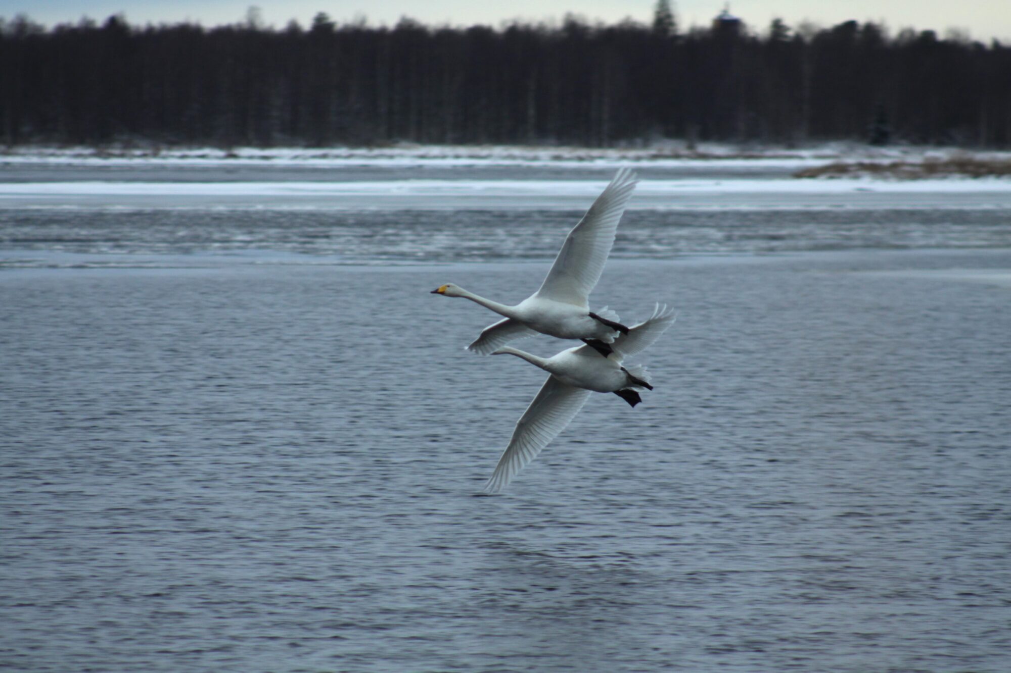 Valokuvaaja: Pirkko Siukonen