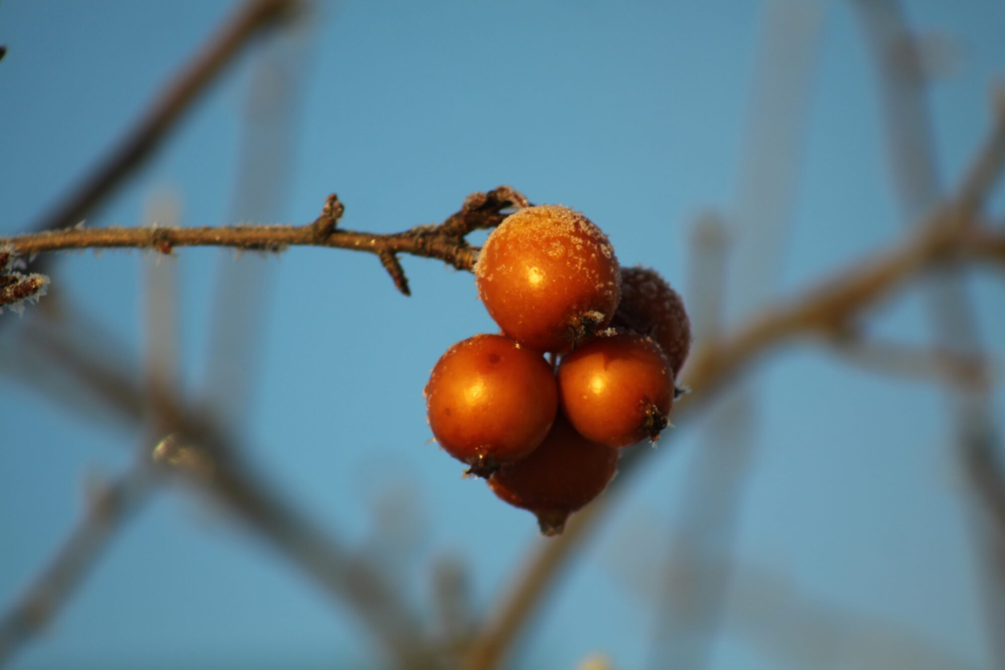 Valokuvaaja: Pirkko Siukonen