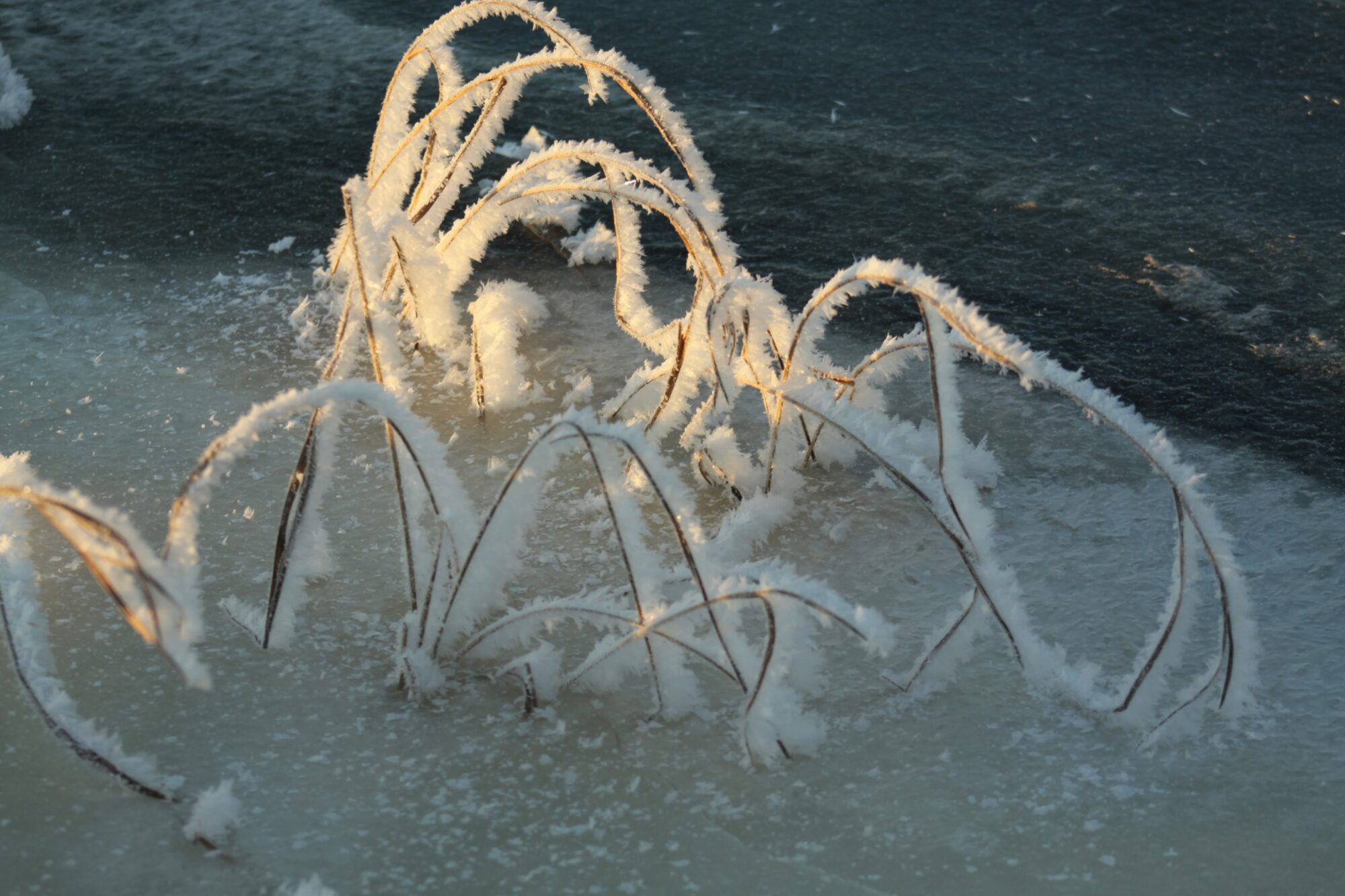 Valokuvaaja: Pirkko Siukonen