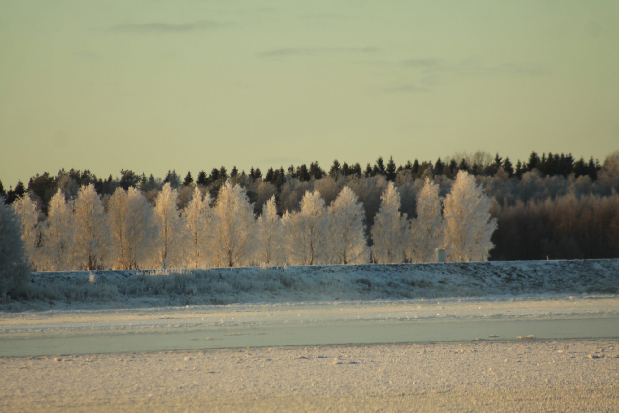 Valokuvaaja: Pirkko Siukonen