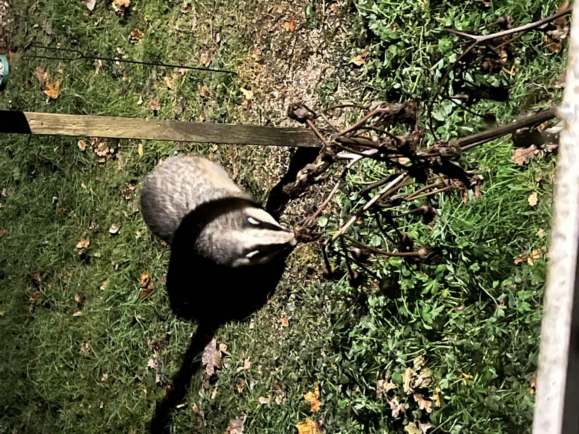 Valokuvaaja: Anni Hietanen