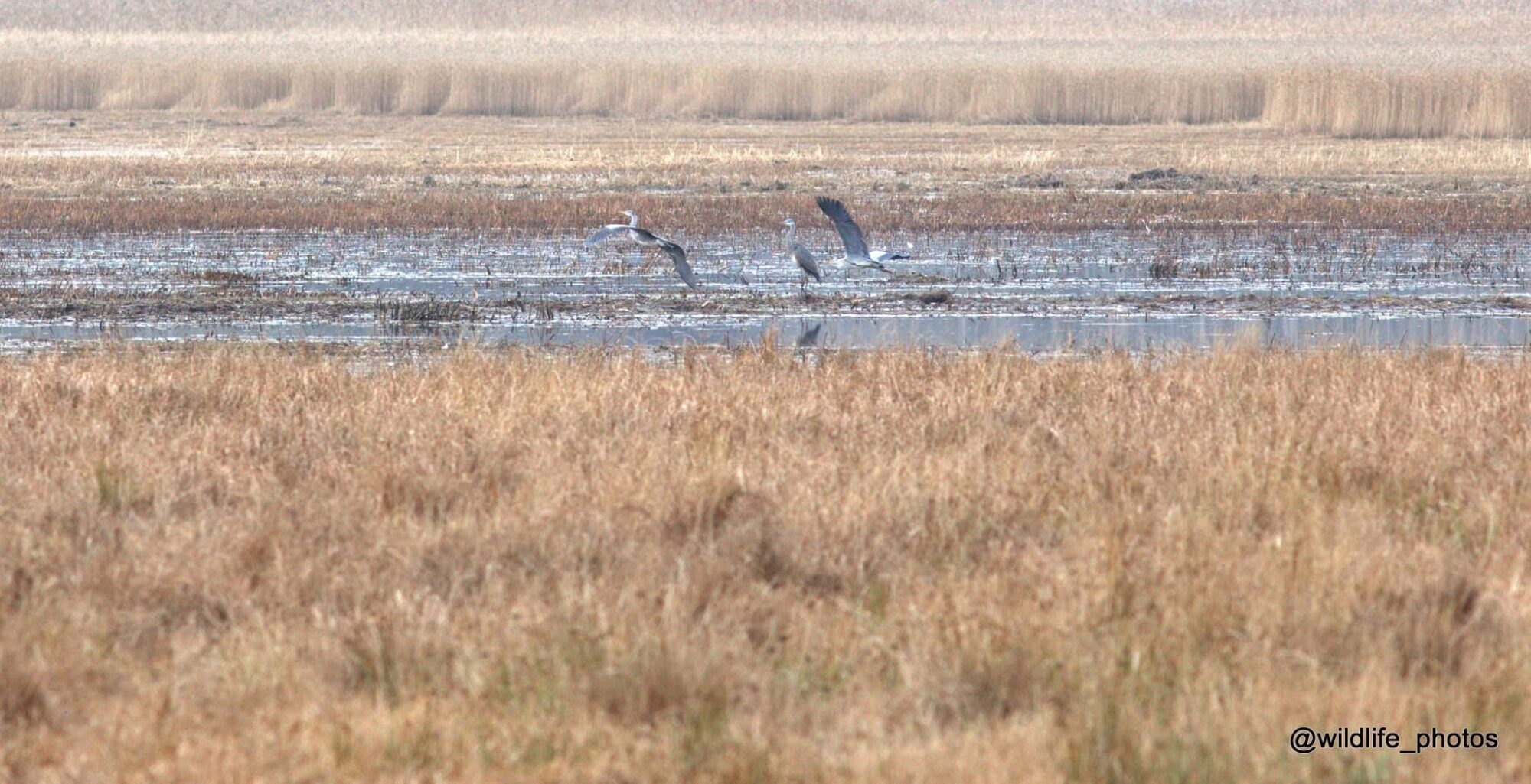 Valokuvaaja: tapio keinonen
