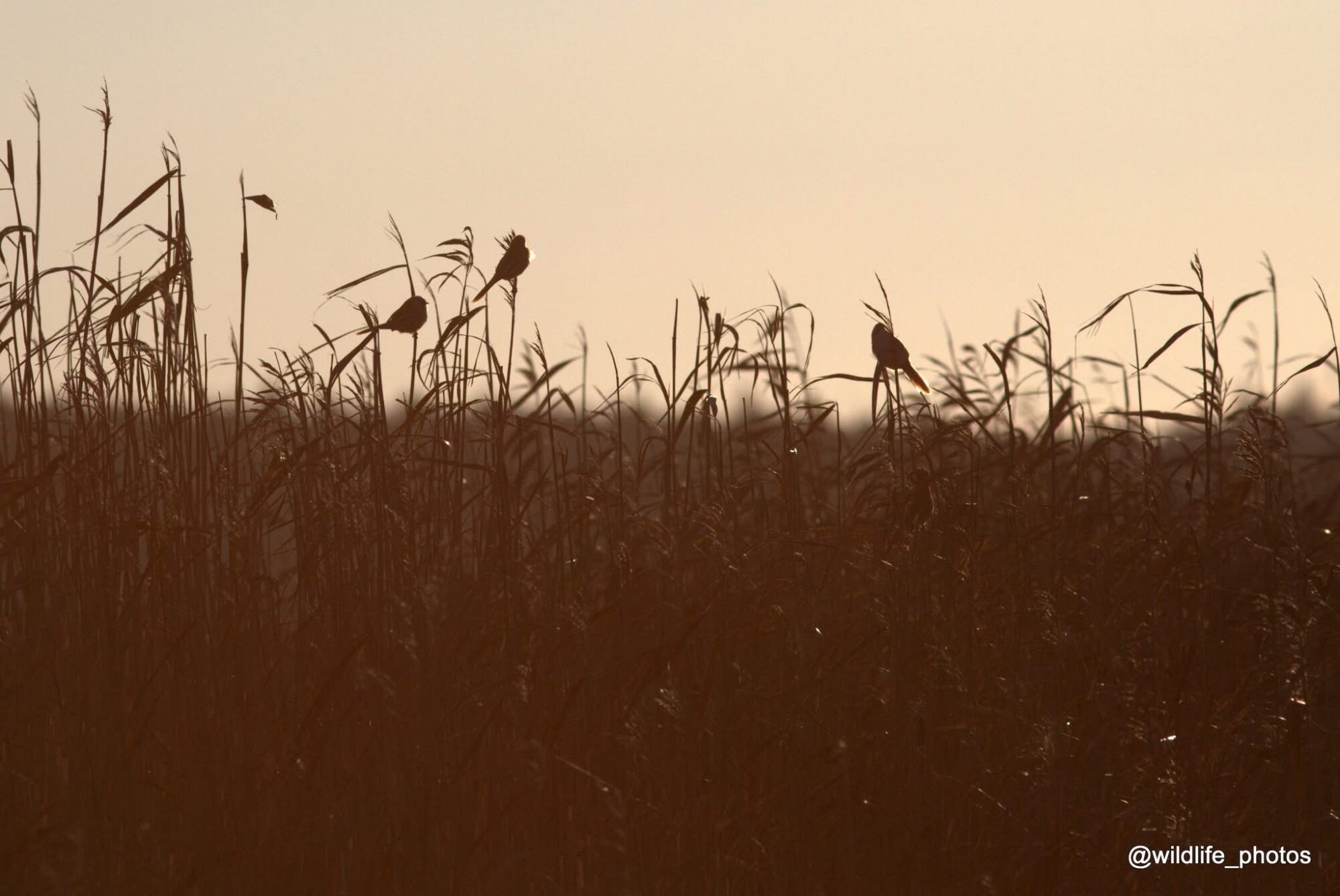 Valokuvaaja: tapio keinonen