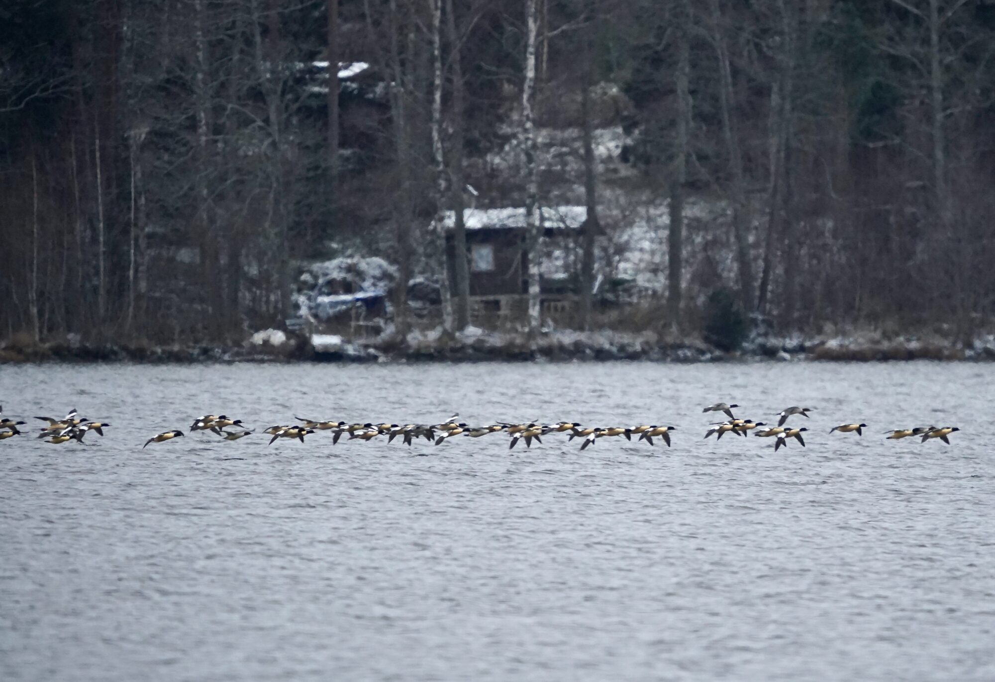 Valokuvaaja: Markku Ranta-Eilola
